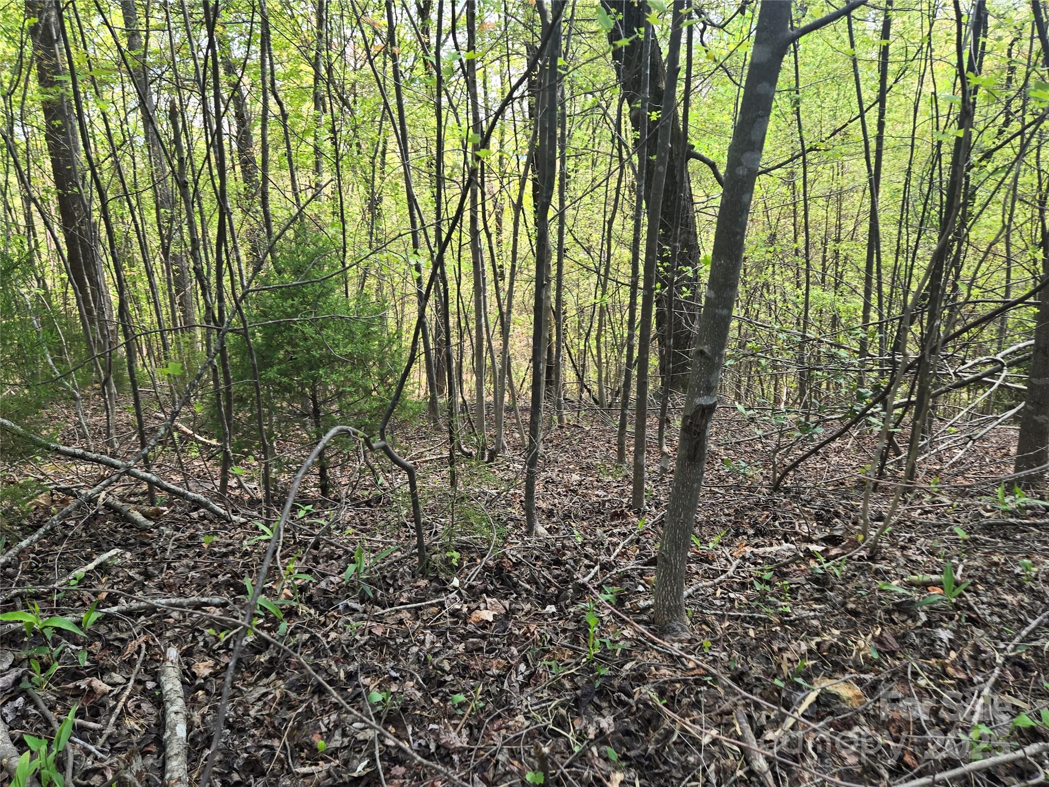 Lot 15 Touch Me Not Trail Property Photo 4