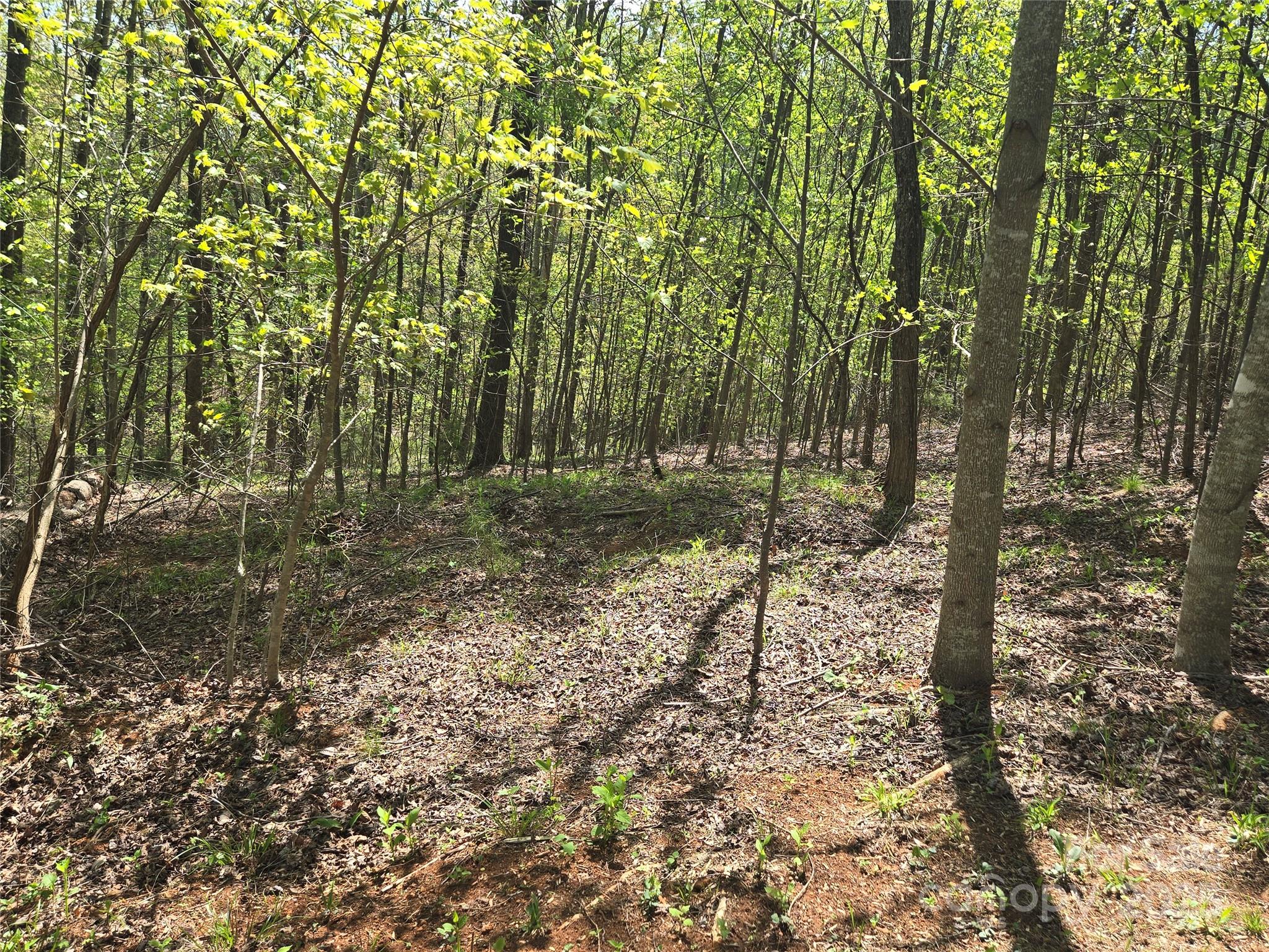 Lot 15 Touch Me Not Trail Property Photo 5