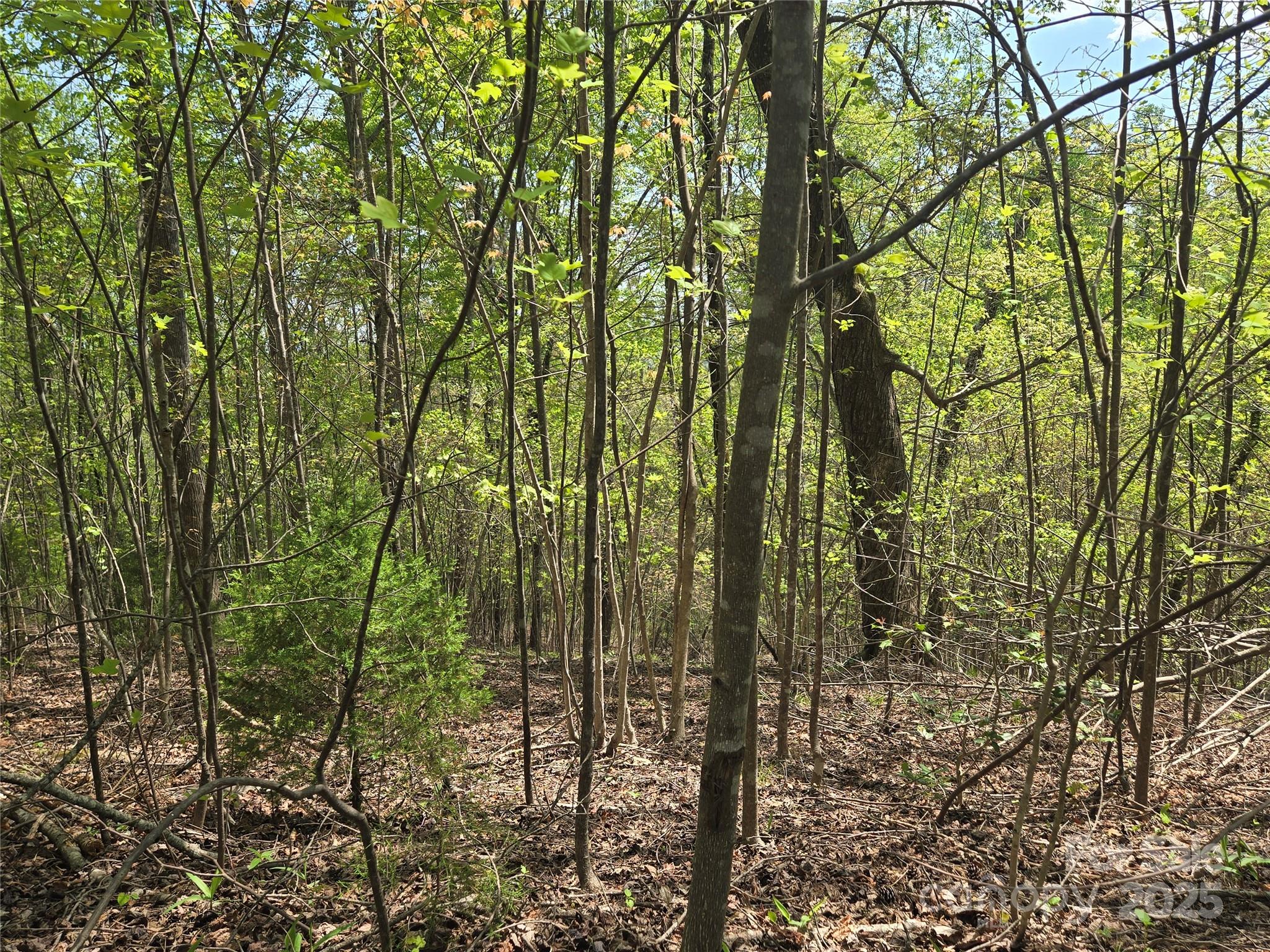 Lot 15 Touch Me Not Trail Property Photo 7