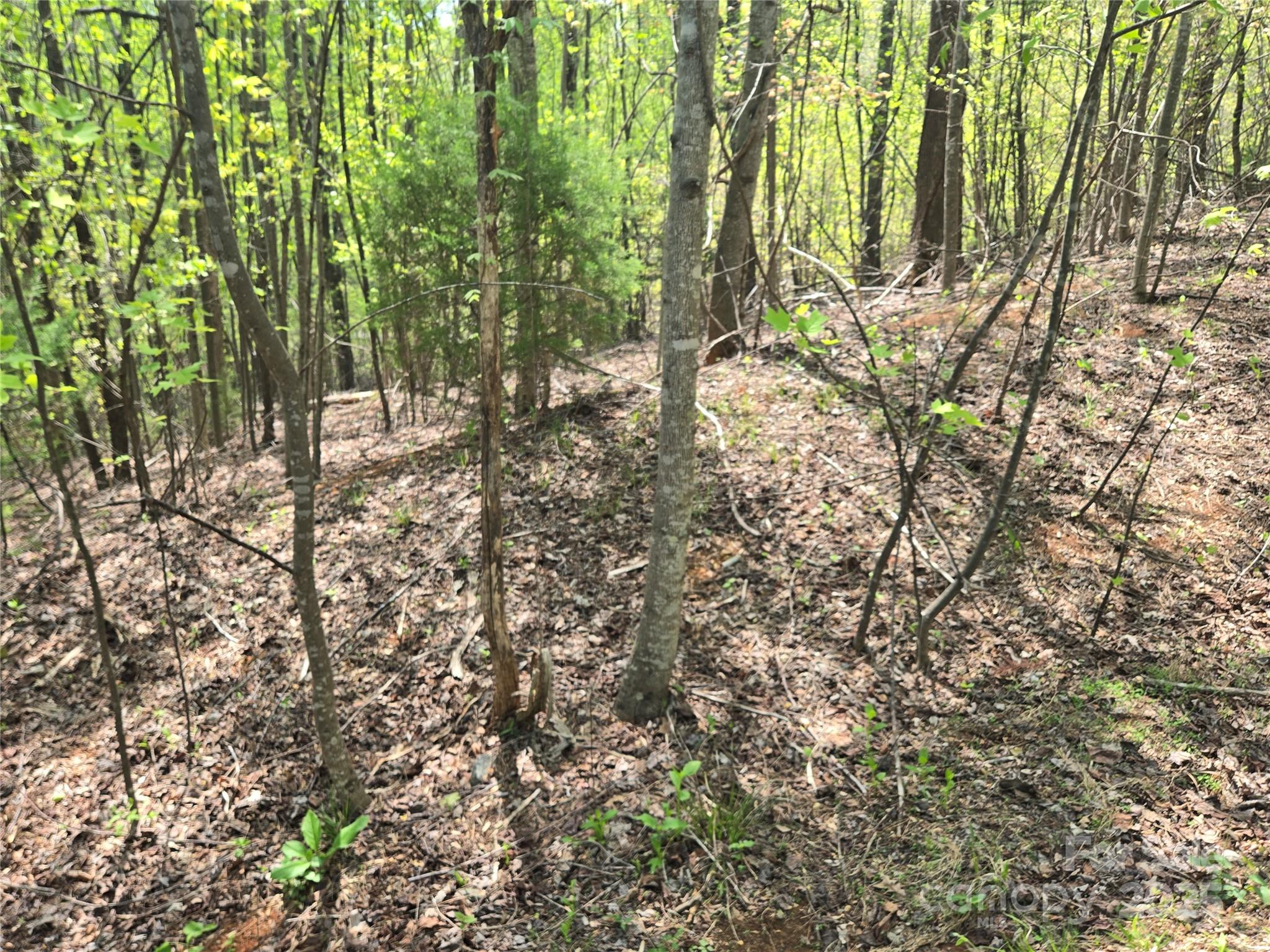 Lot 15 Touch Me Not Trail Property Photo 8