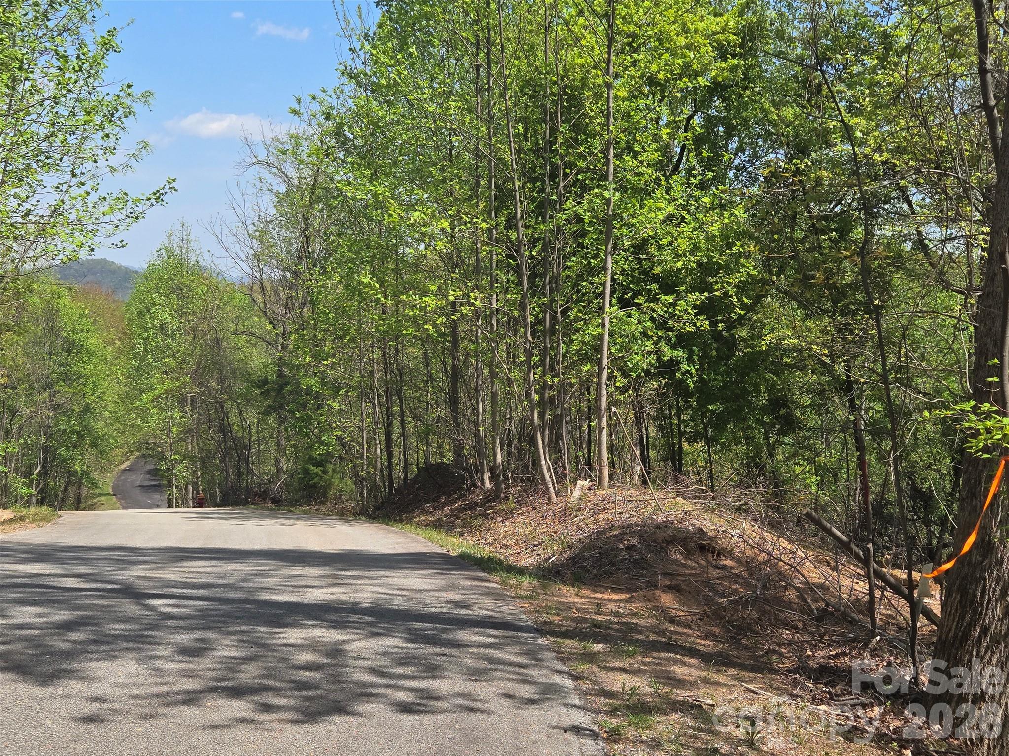 Lot 16 High Rock Ridge Property Photo 3