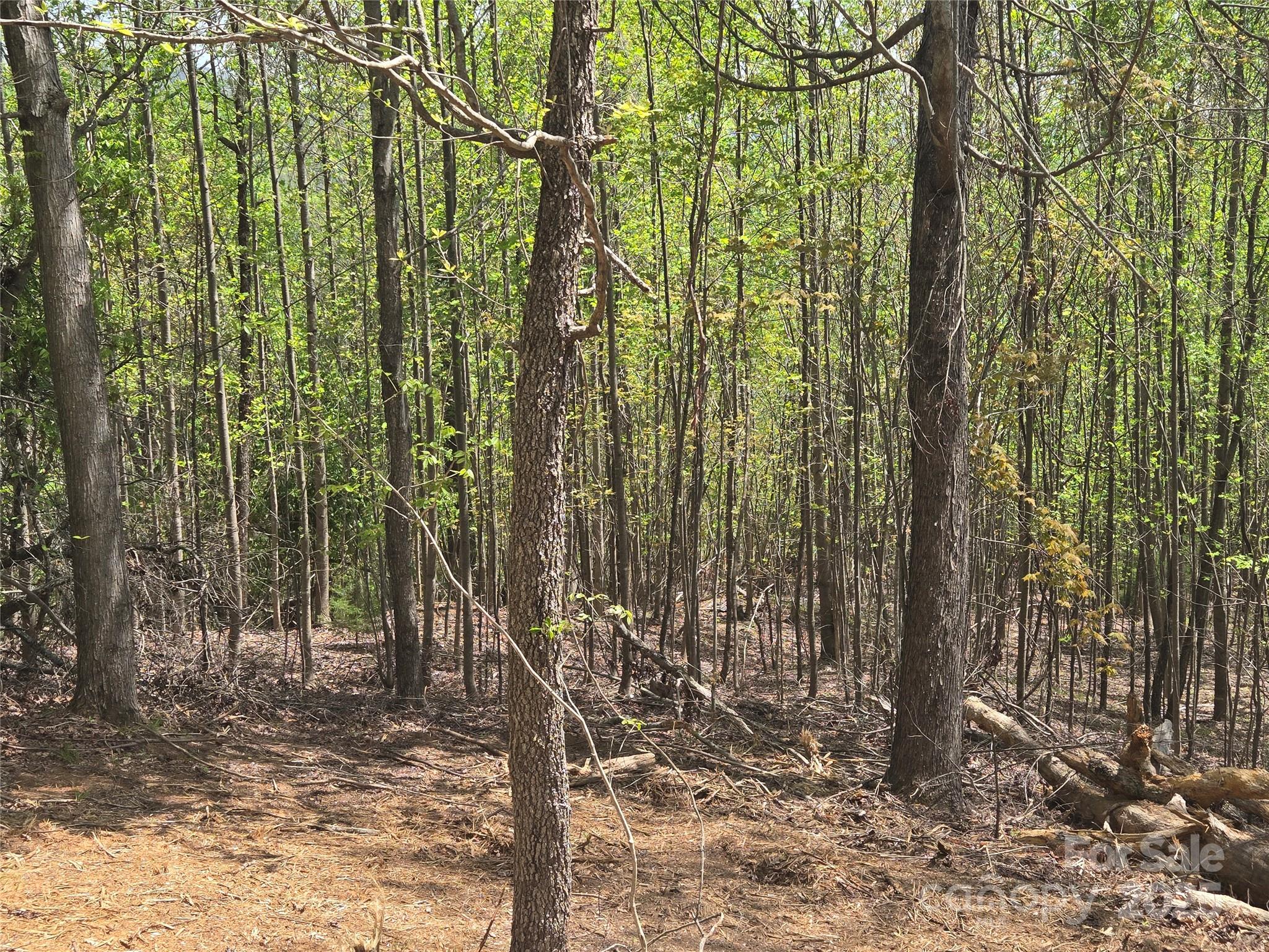 Lot 16 High Rock Ridge Property Photo 5