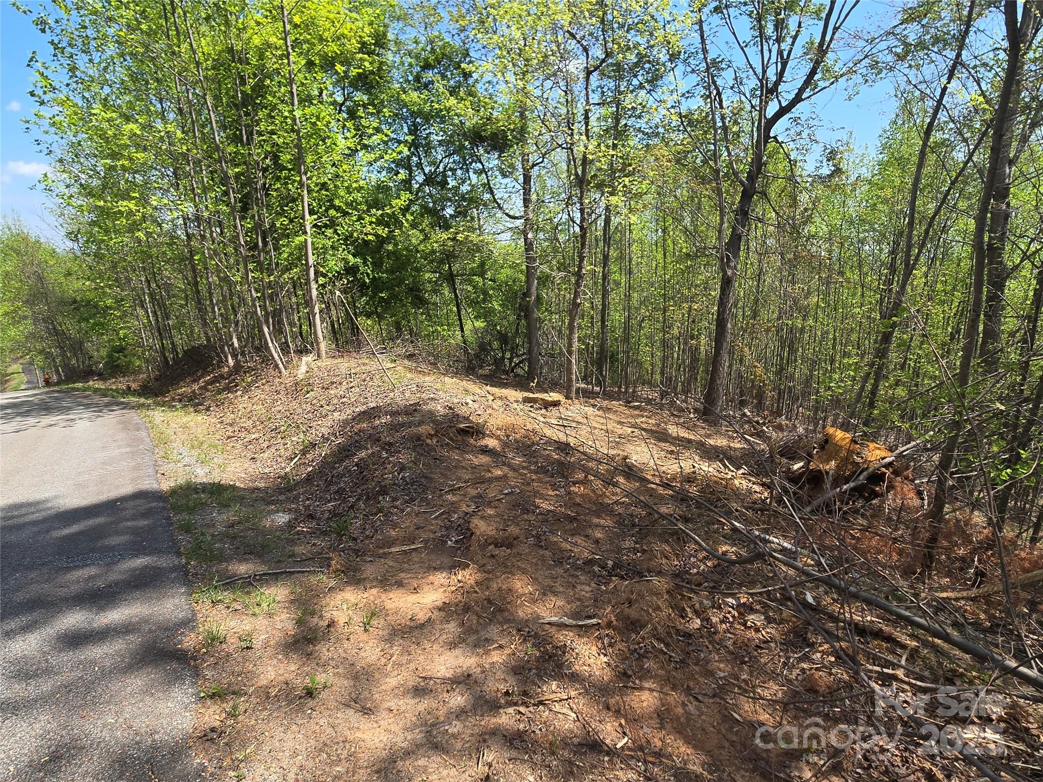 Lot 16 High Rock Ridge Property Photo 6