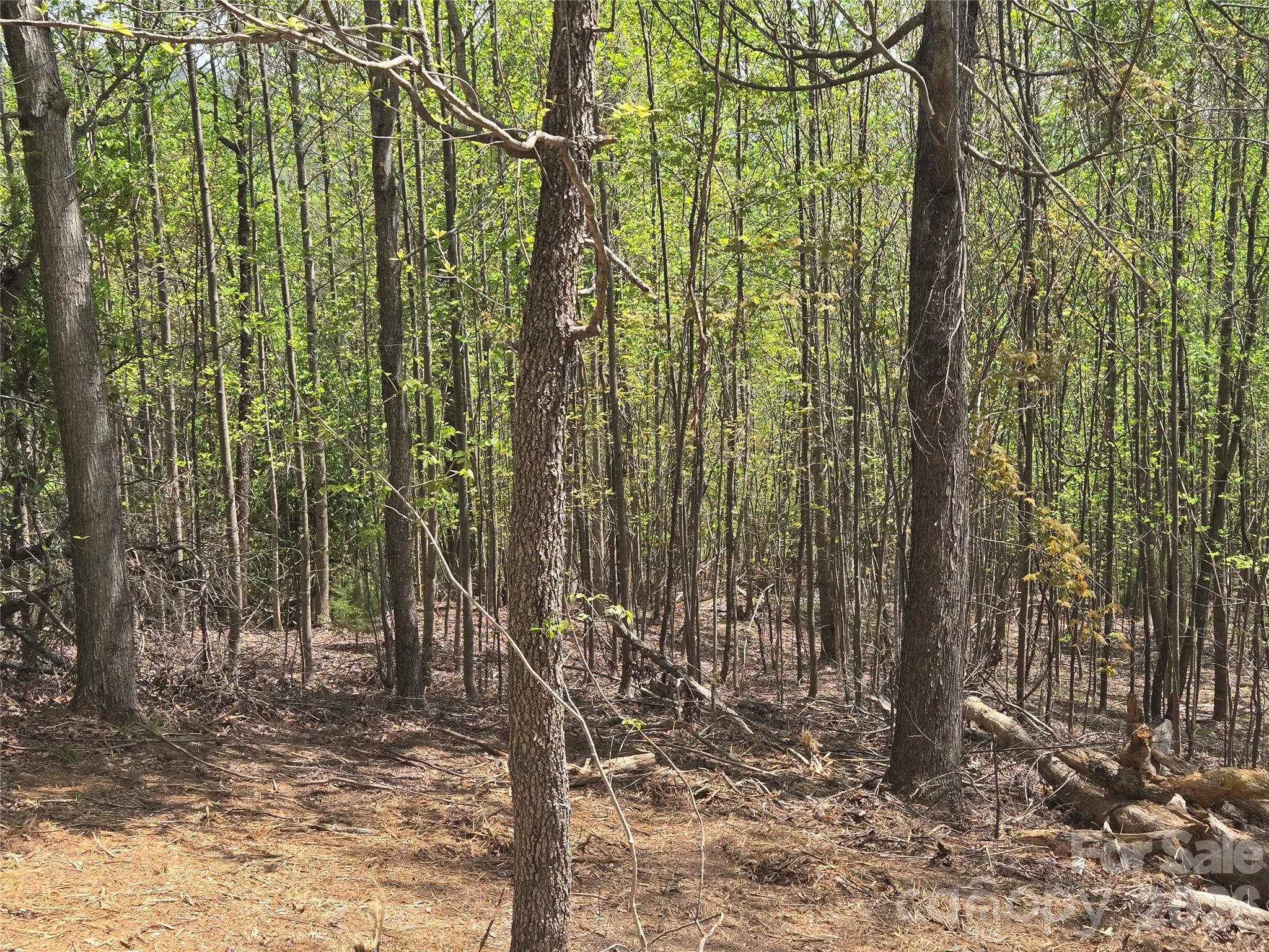 Lot 16 High Rock Ridge Property Photo 6