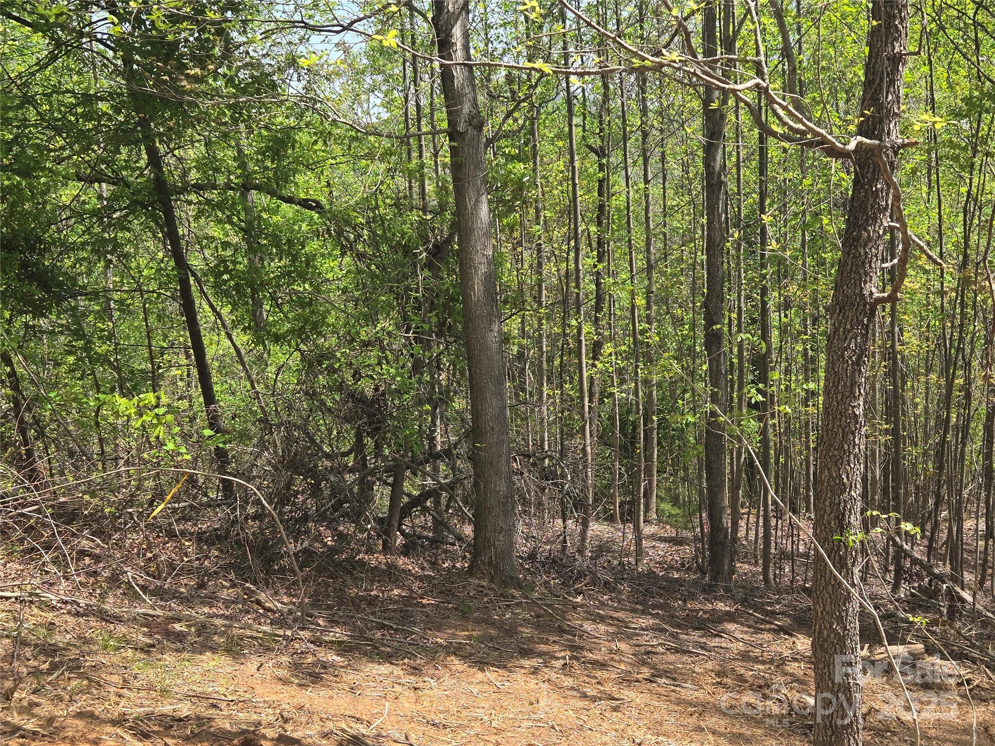 Lot 16 High Rock Ridge Property Photo 7