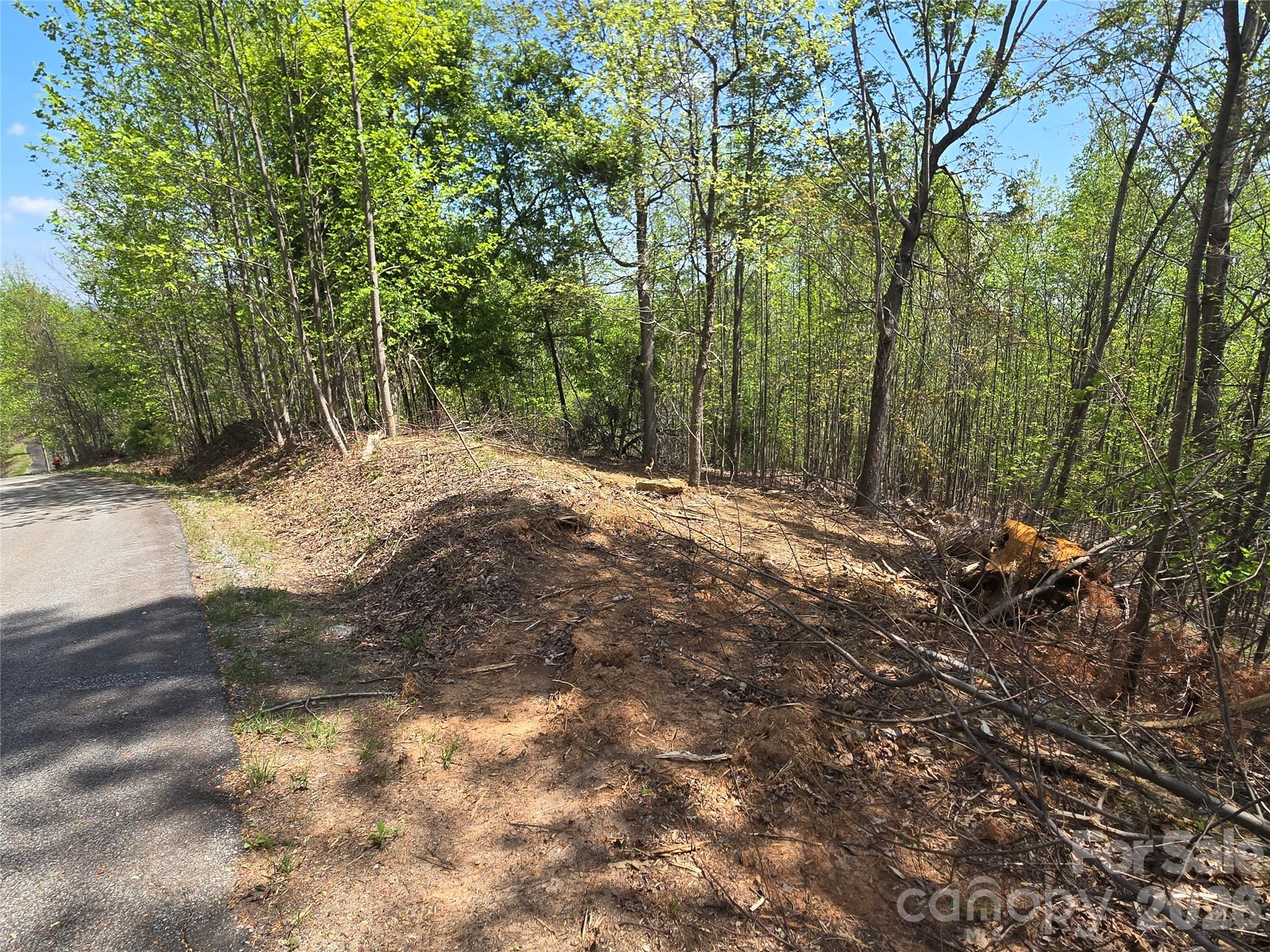 Lot 16 High Rock Ridge Property Photo 7
