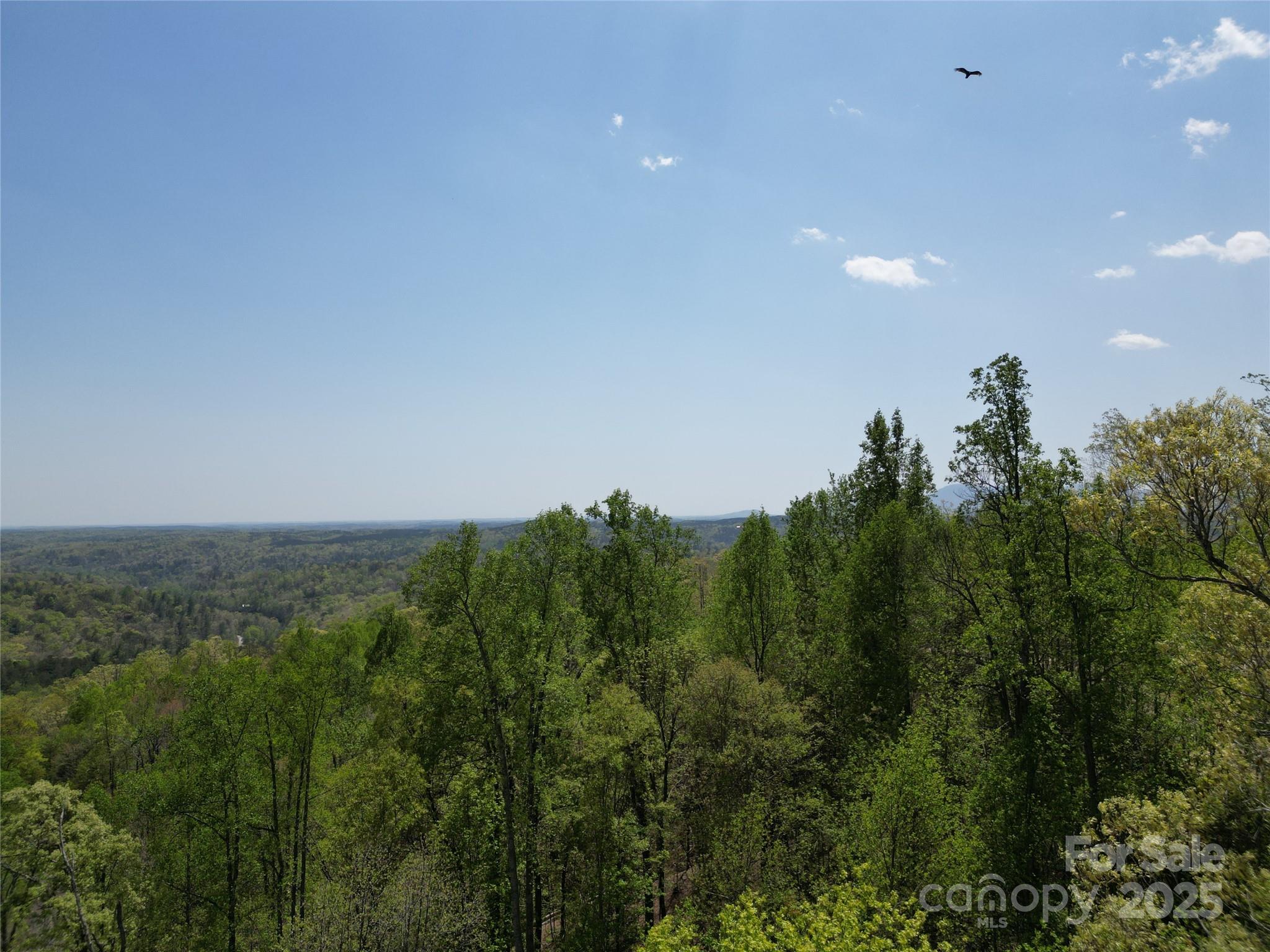 Lot 16 High Rock Ridge Property Photo 8