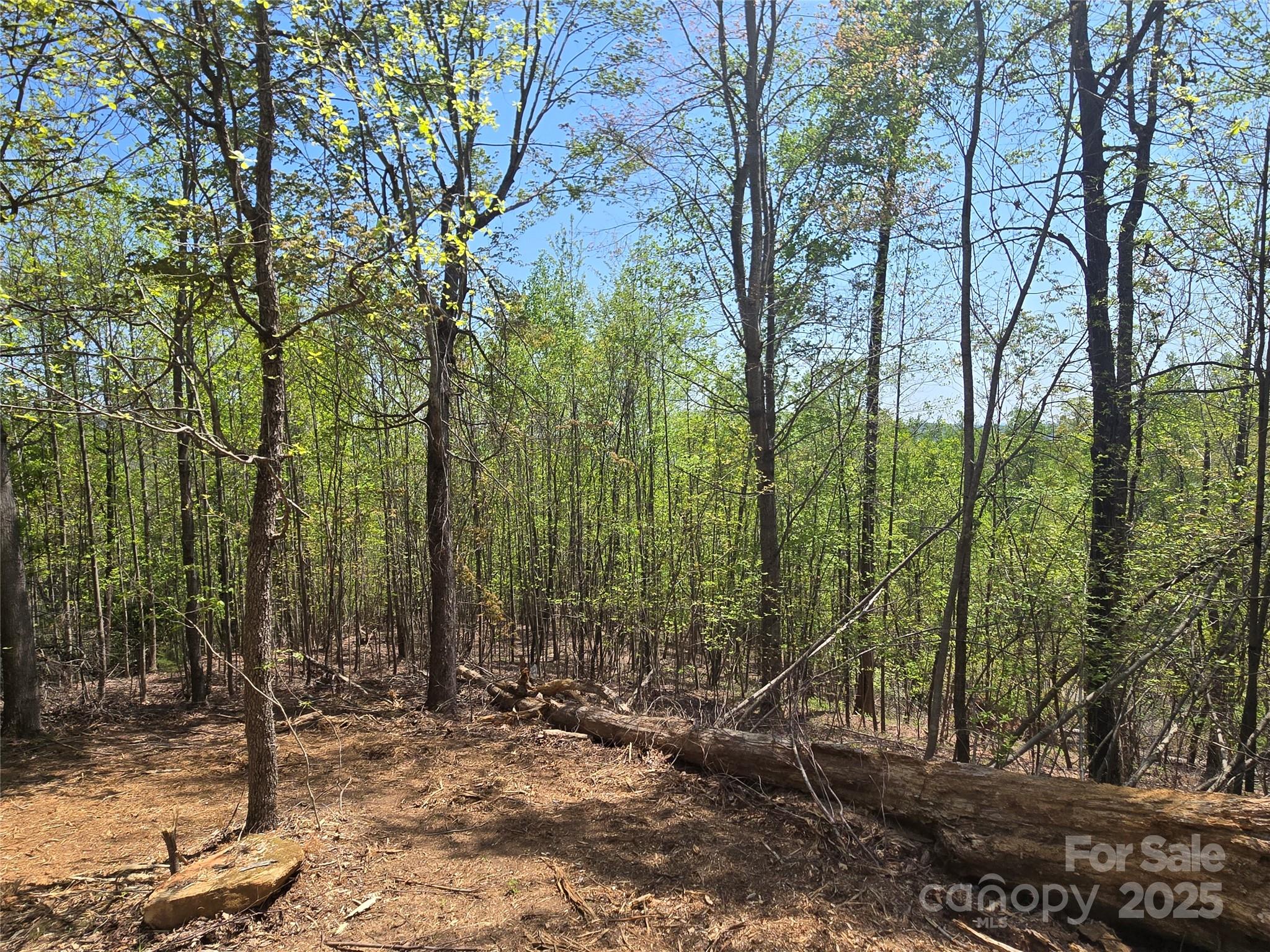 Lot 16 High Rock Ridge Property Photo 9