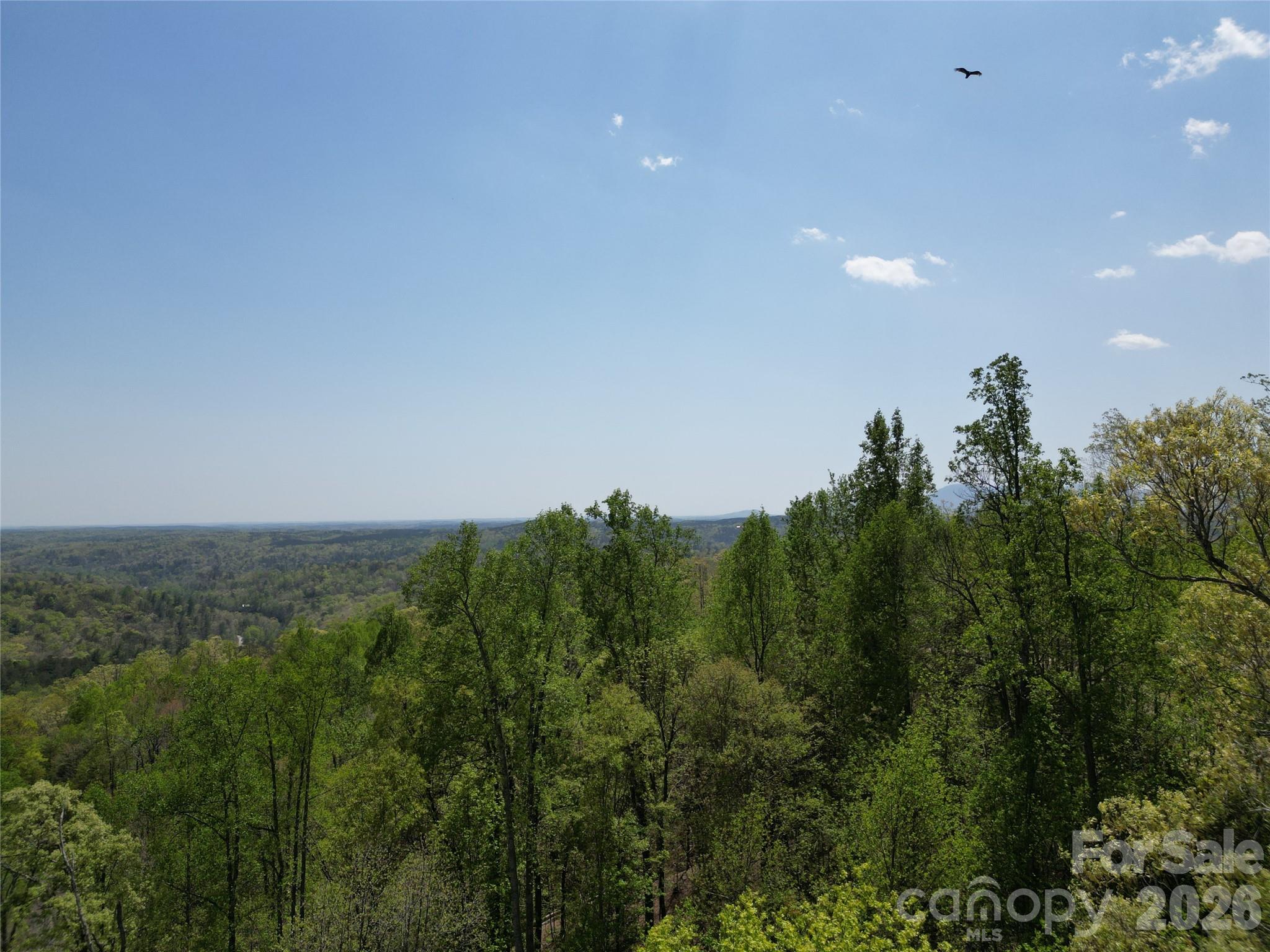 Lot 16 High Rock Ridge Property Photo 9