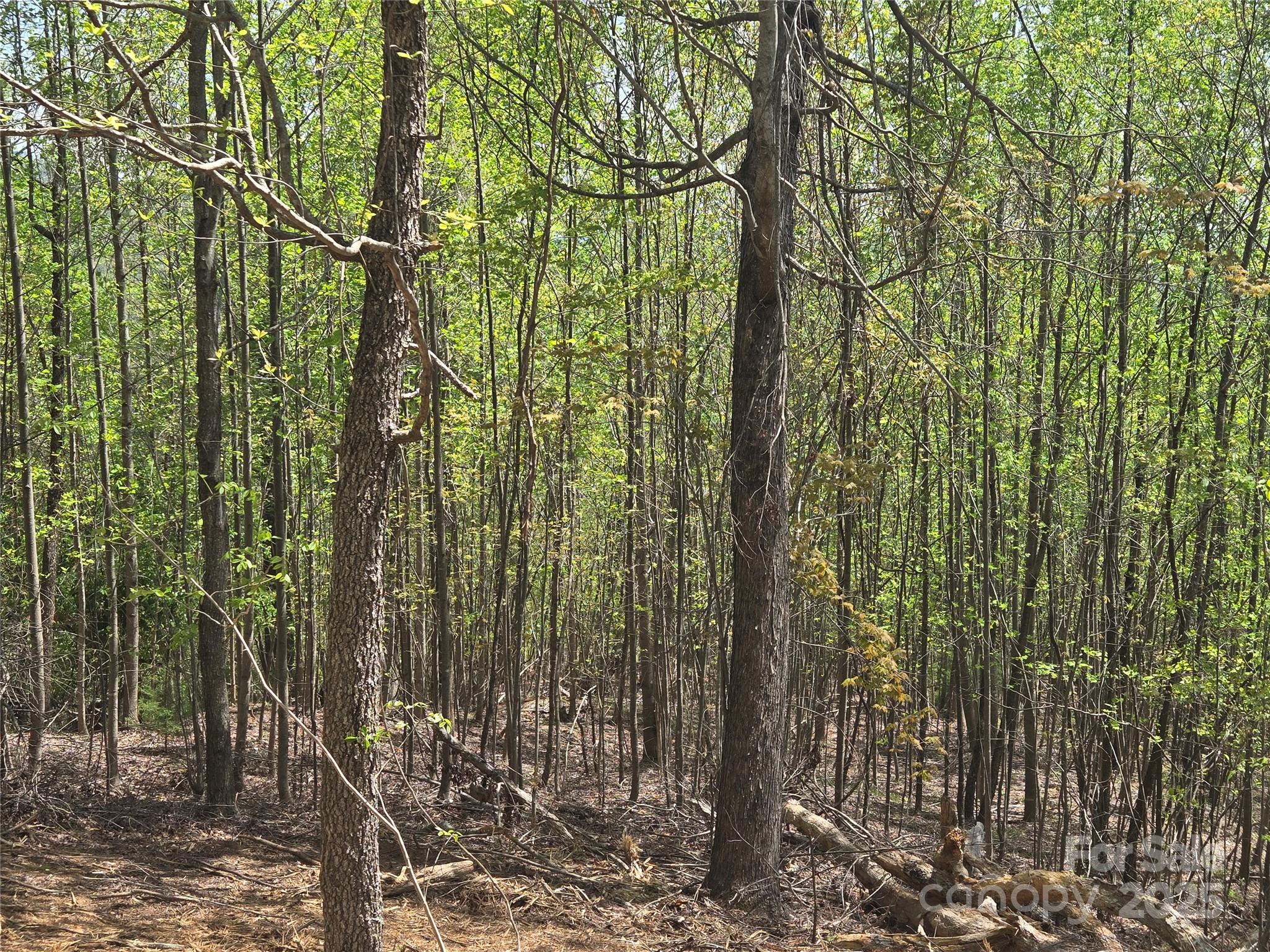 Lot 16 High Rock Ridge Property Photo 10
