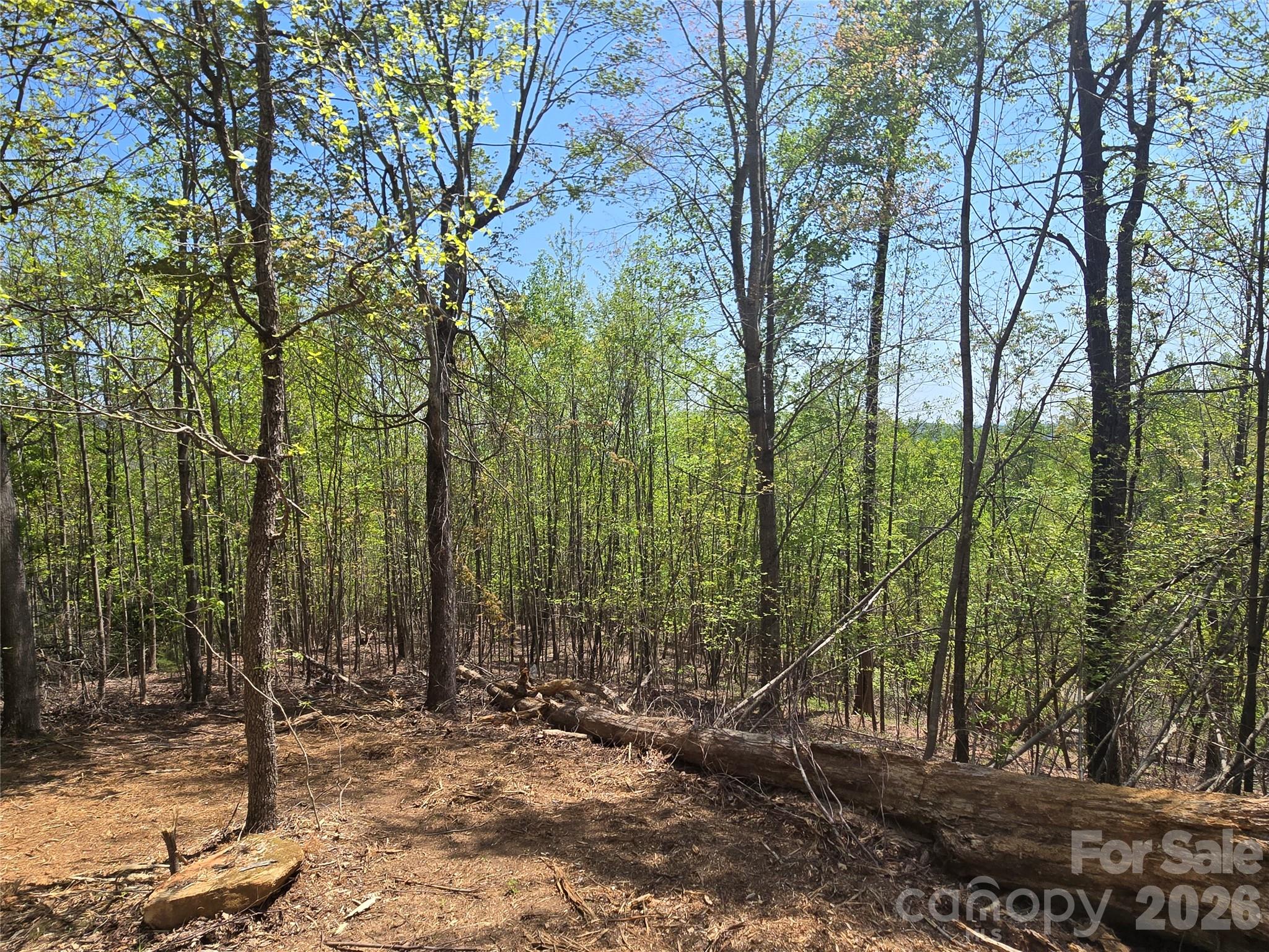 Lot 16 High Rock Ridge Property Photo 10