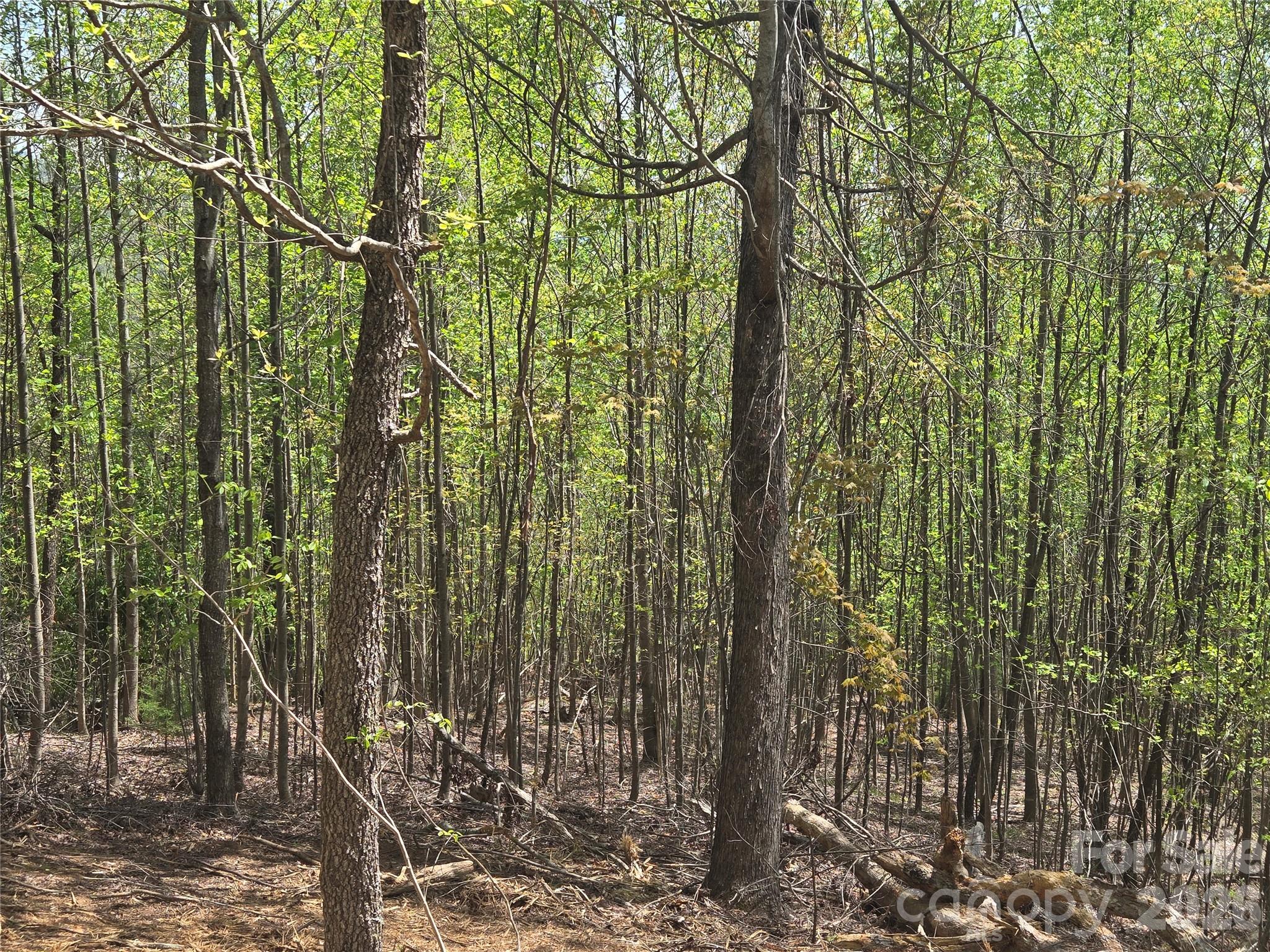 Lot 16 High Rock Ridge Property Photo 11