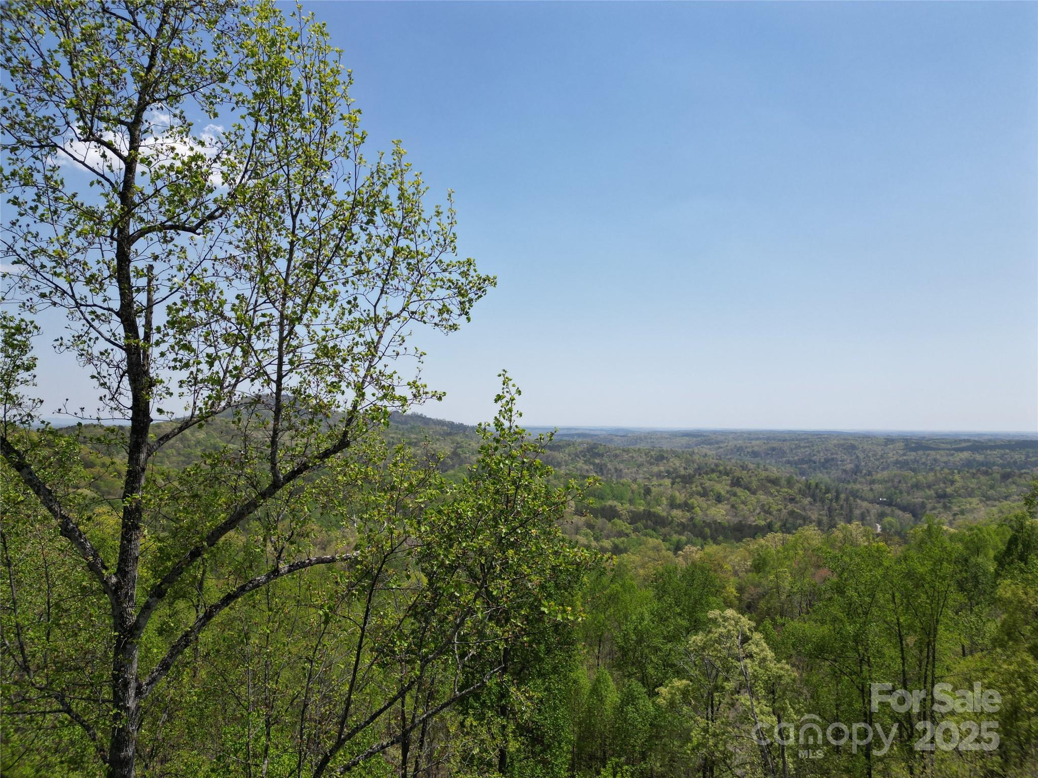 Lot 16 High Rock Ridge Property Photo 12
