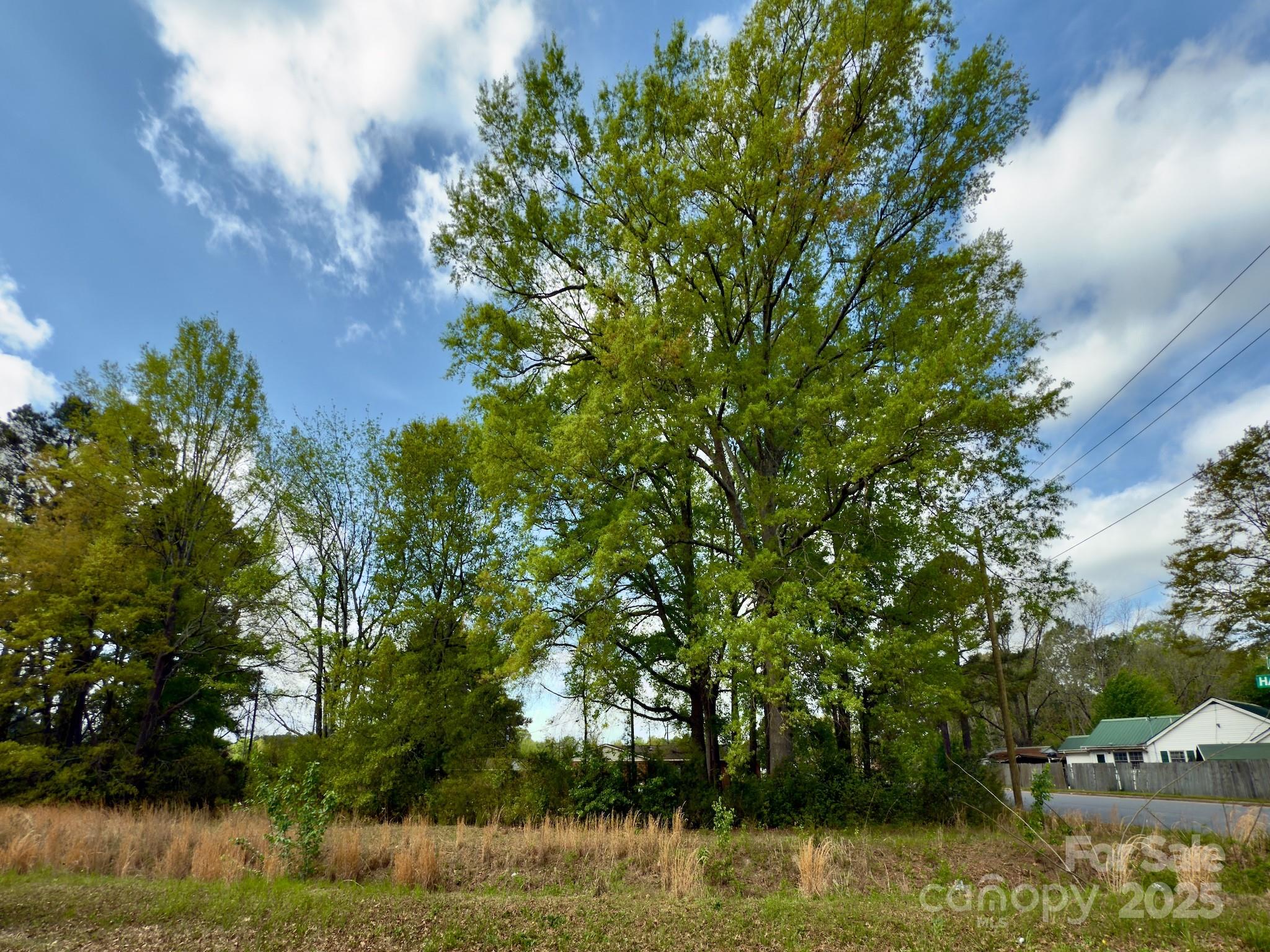 0 Hall Street Property Photo
