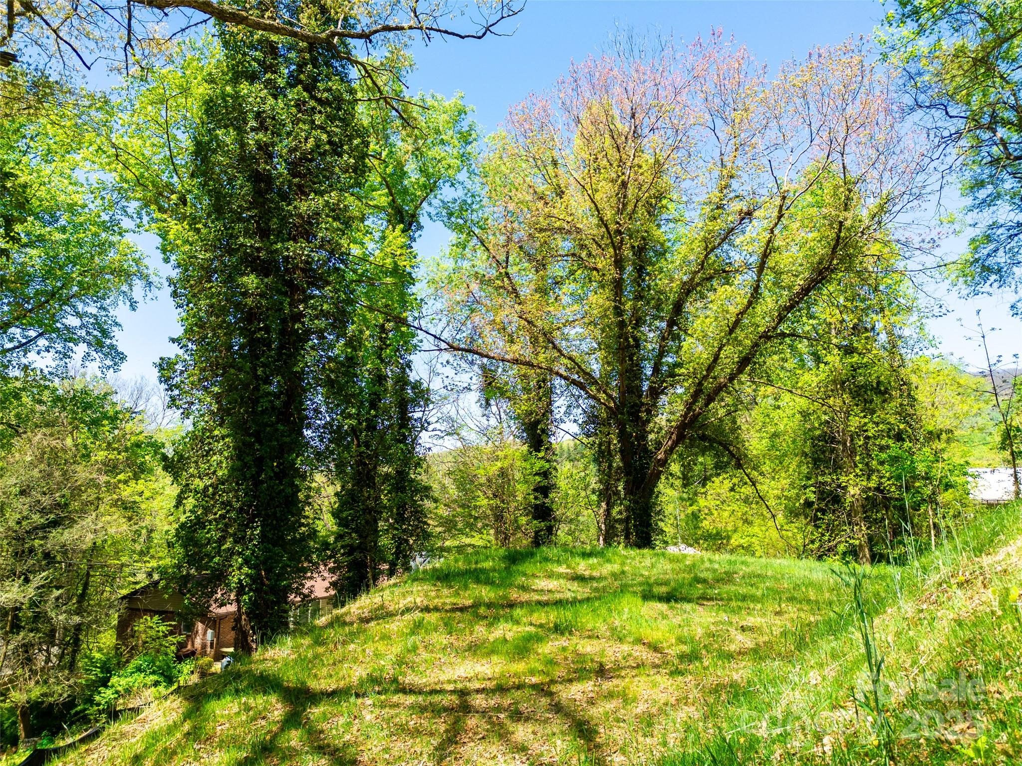 Fairview Real Estate Listings Main Image