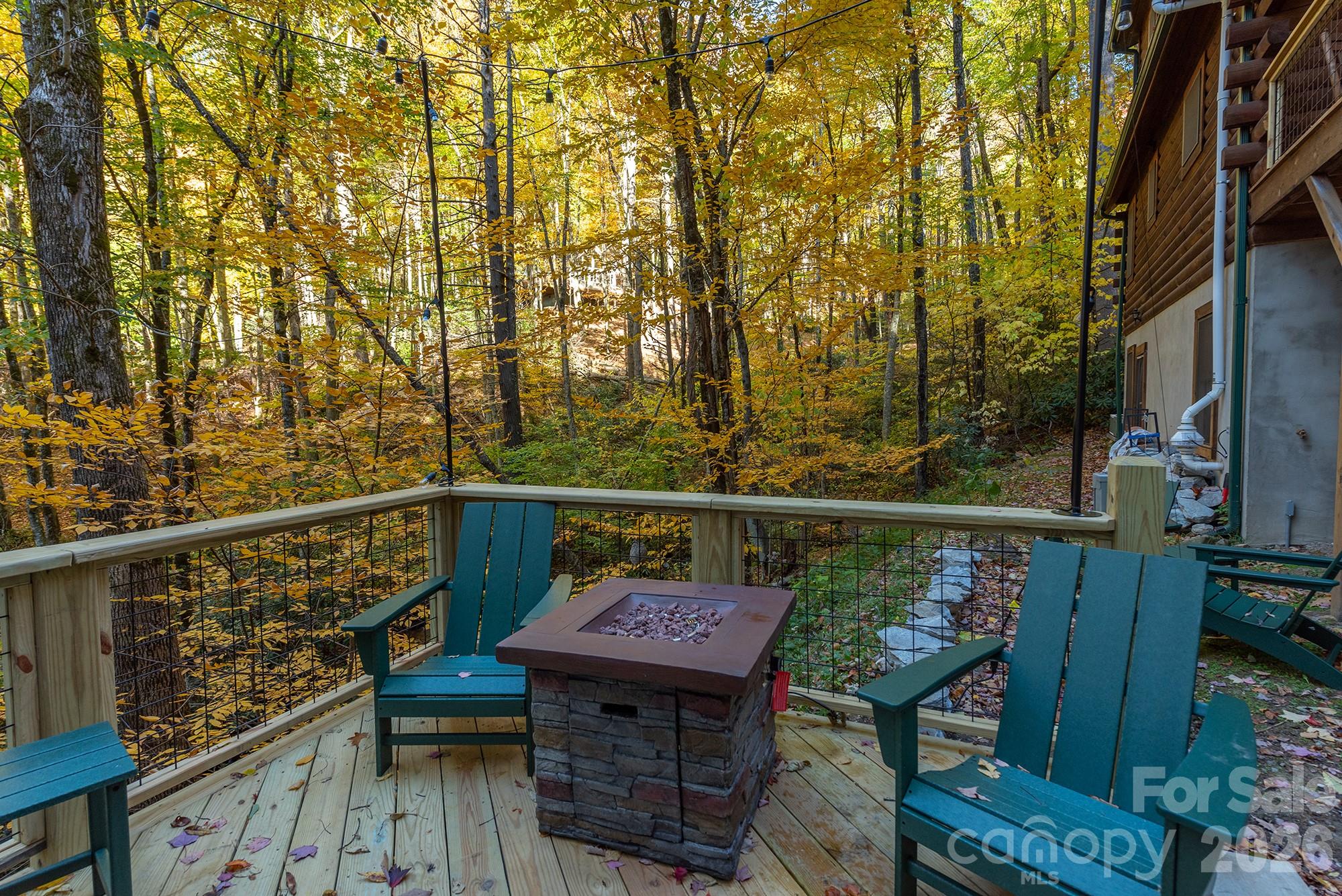 100 Candlemaker Trail Property Photo 27