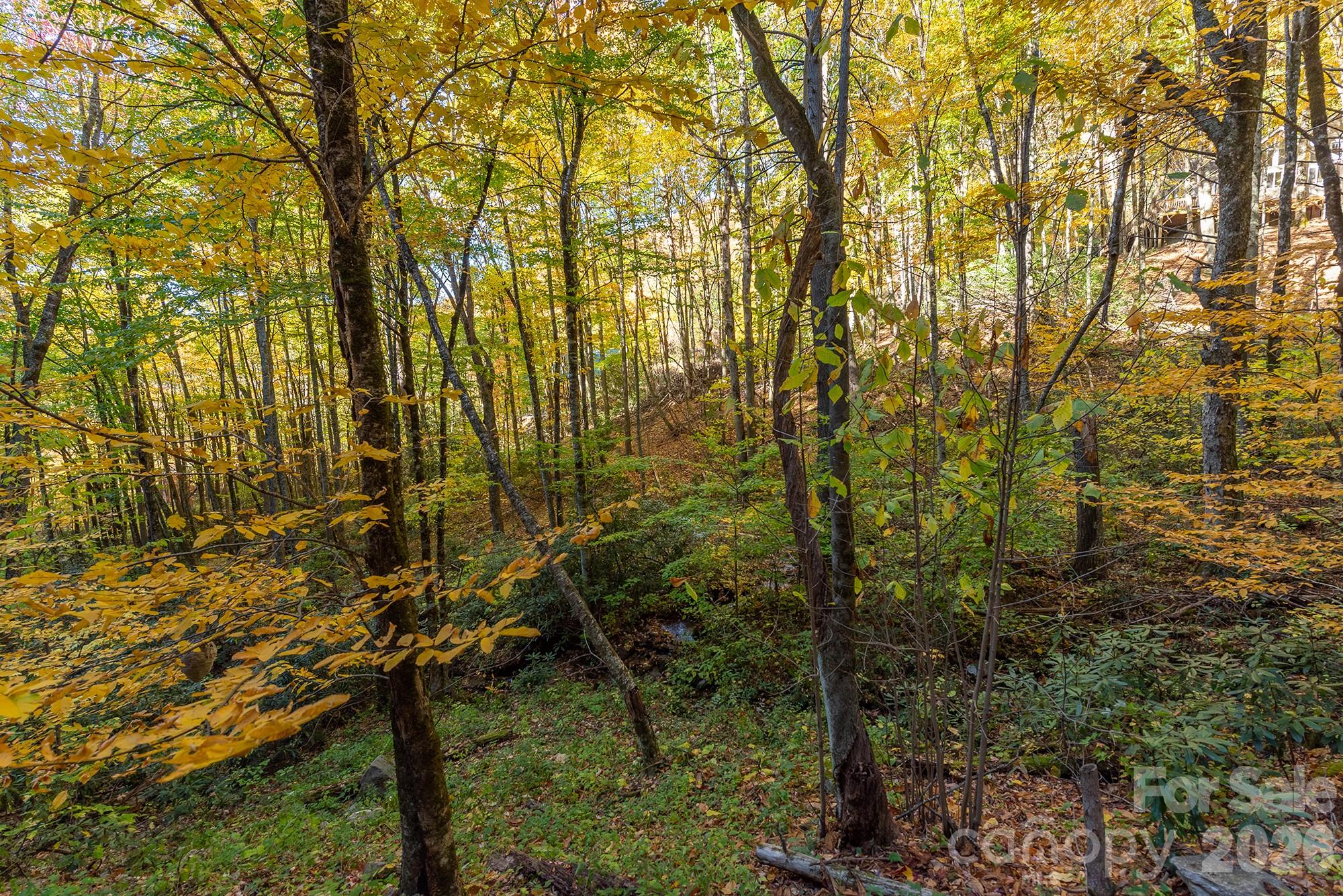 100 Candlemaker Trail Property Photo 31