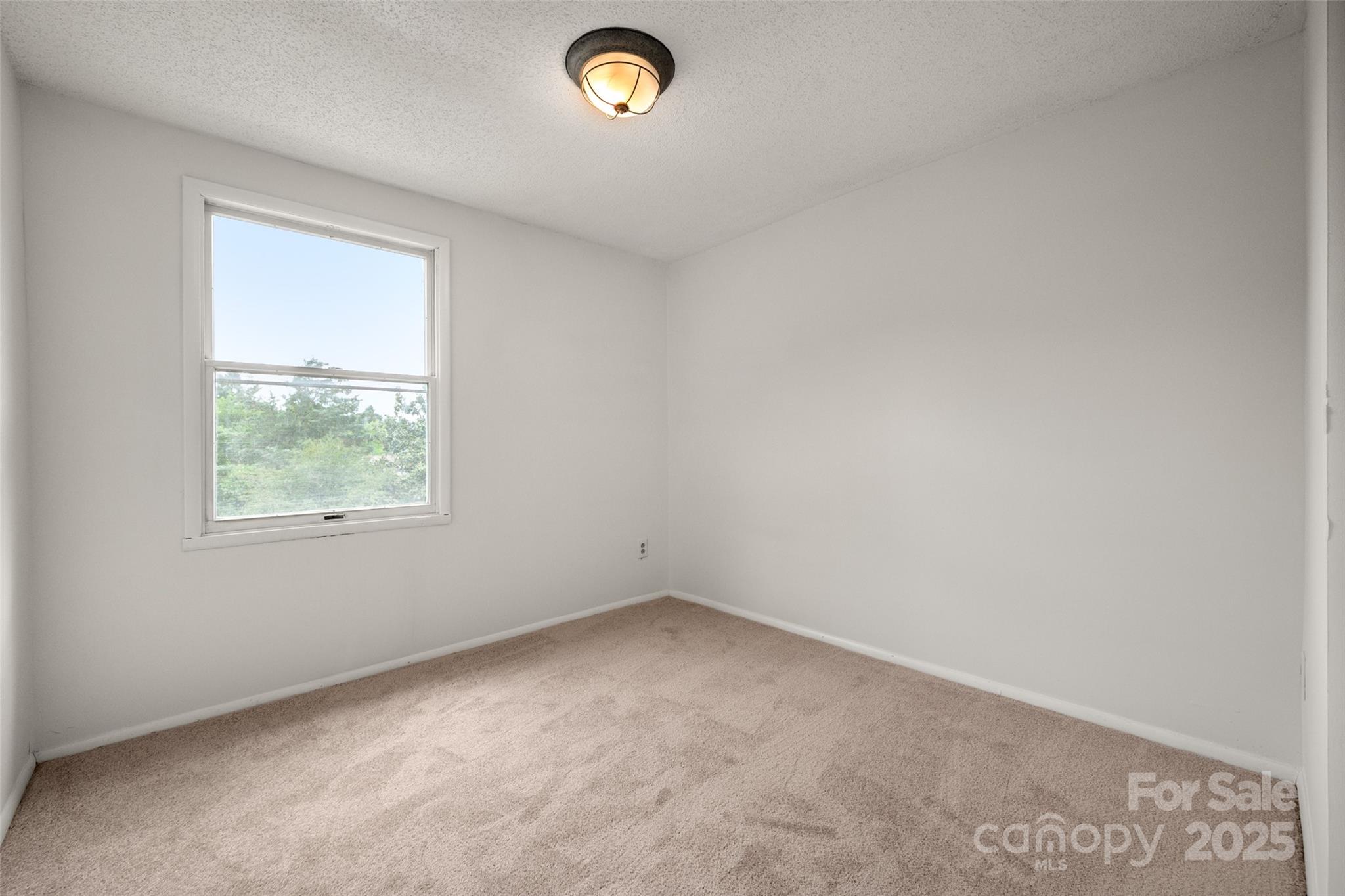 7309 Pebblestone Drive D Property Photo 15