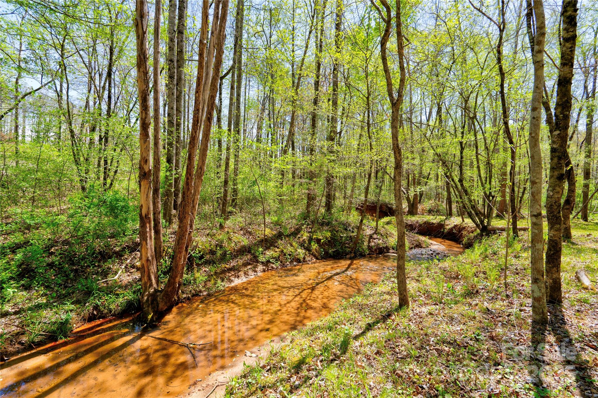 0 Taylor Road Property Photo 2