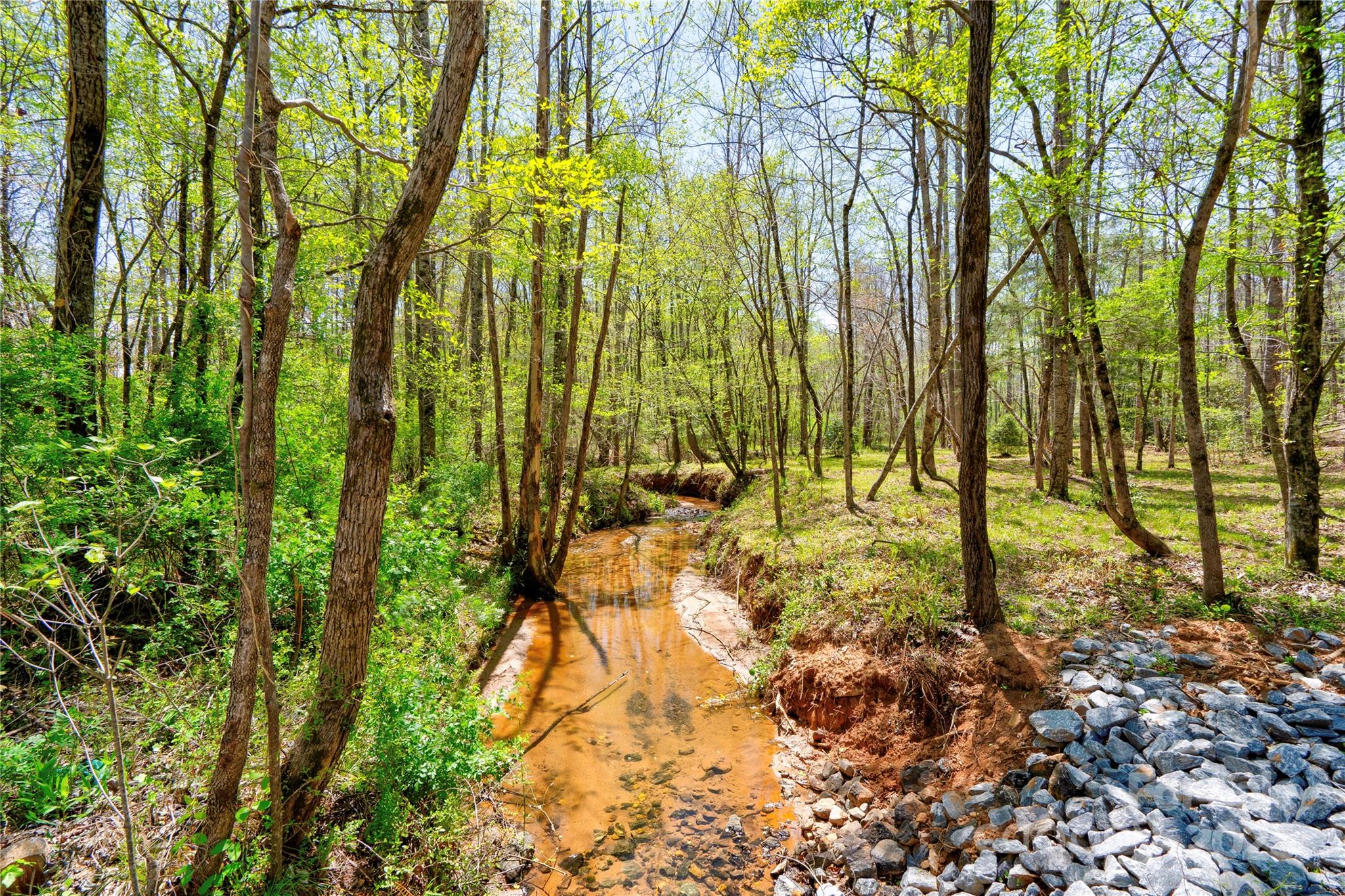 0 Taylor Road Property Photo 4