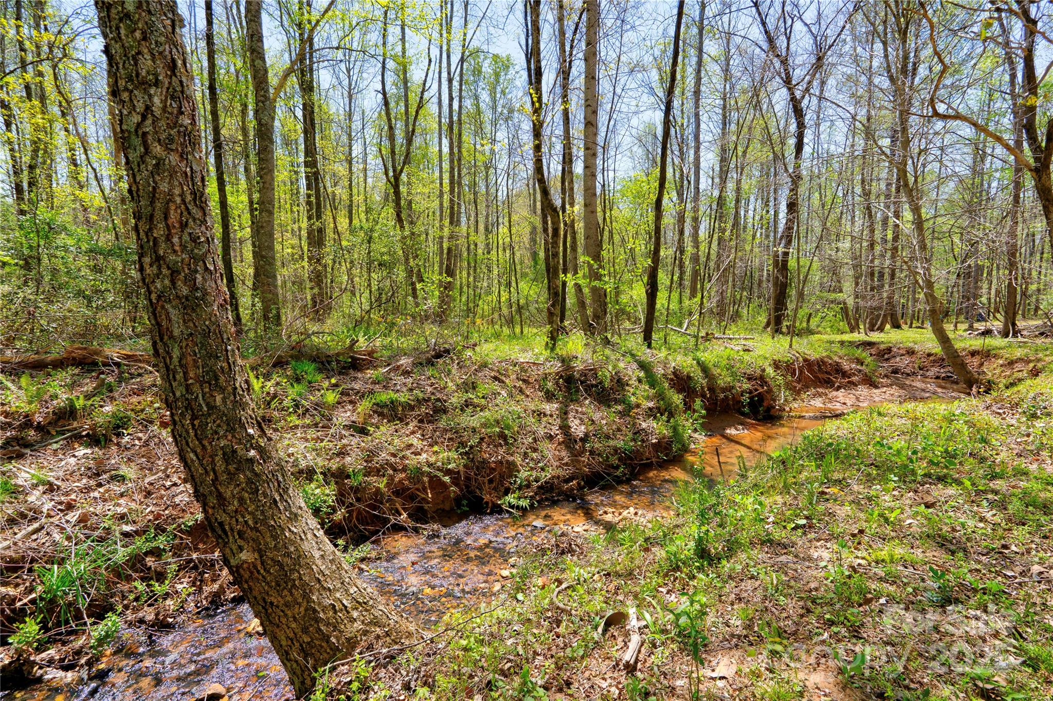 0 Taylor Road Property Photo 5