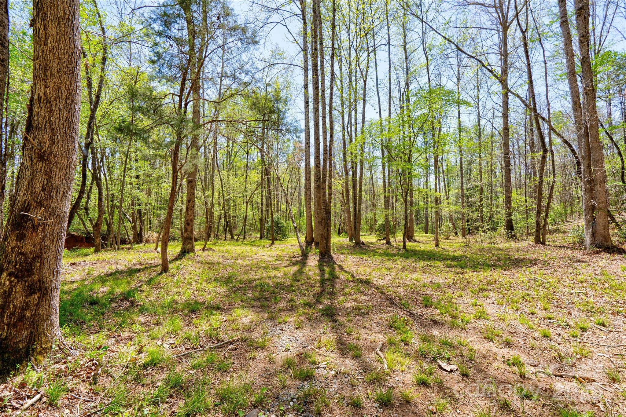 0 Taylor Road Property Photo 6