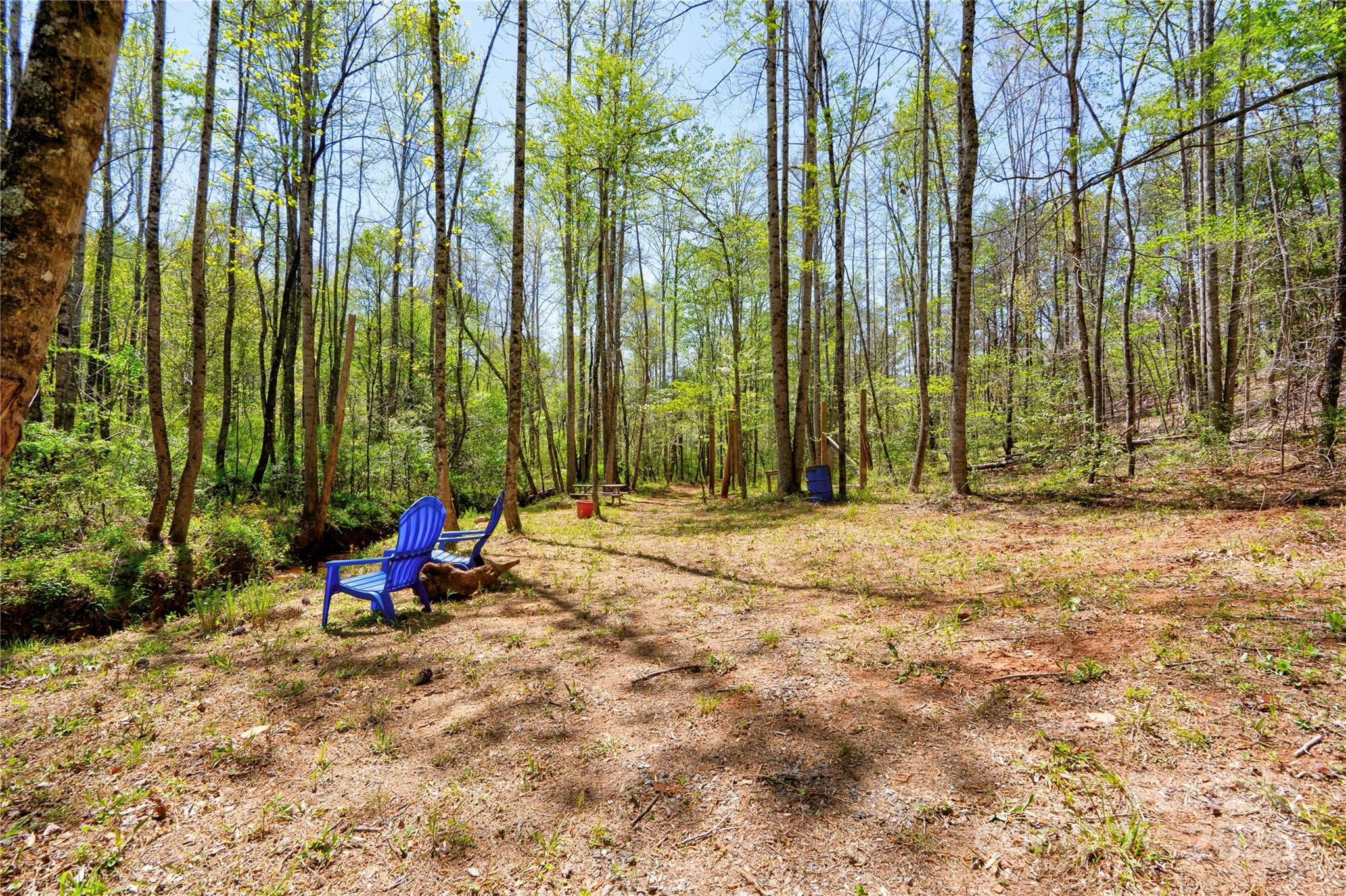 0 Taylor Road Property Photo 7