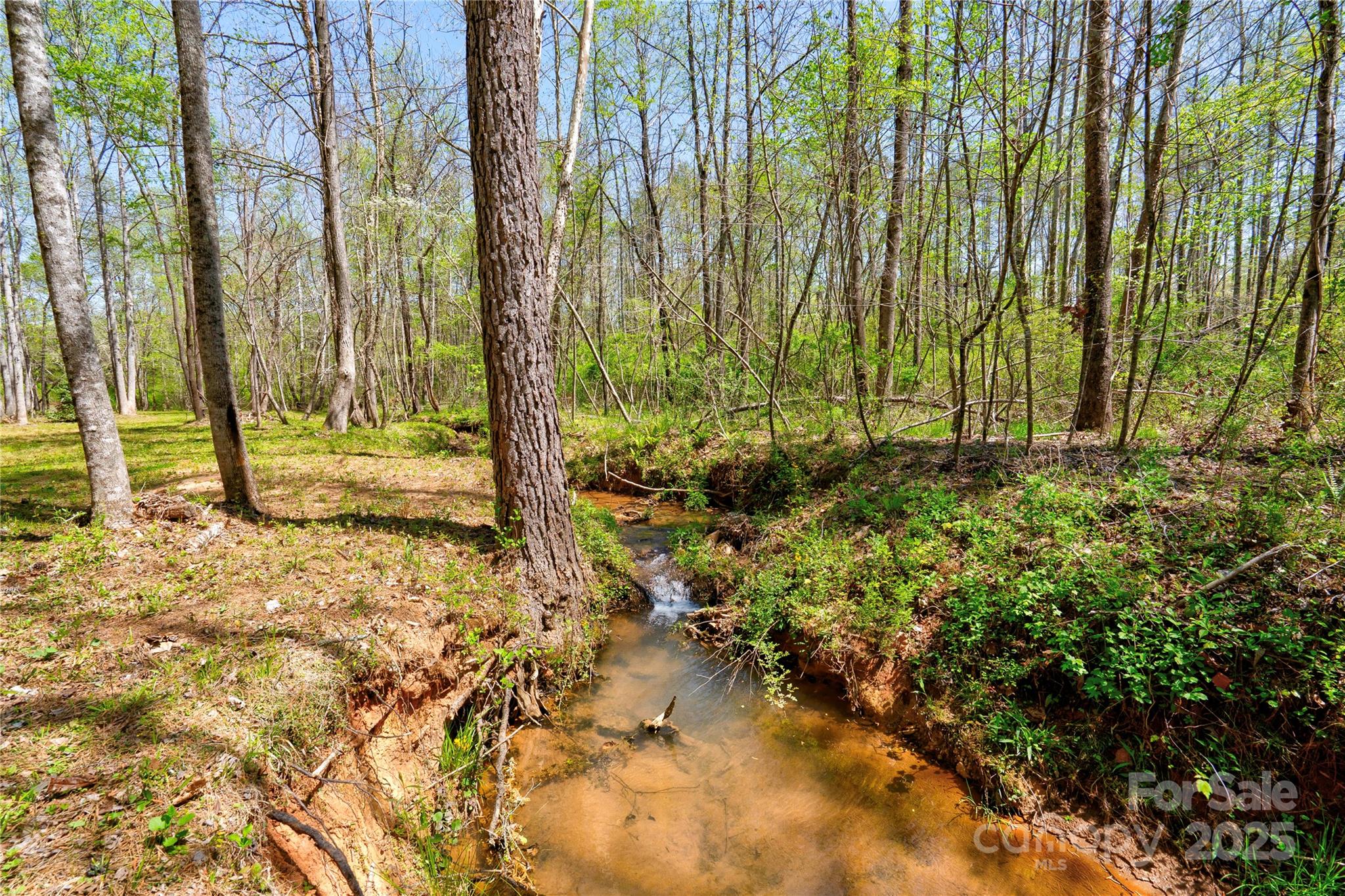 0 Taylor Road Property Photo 9