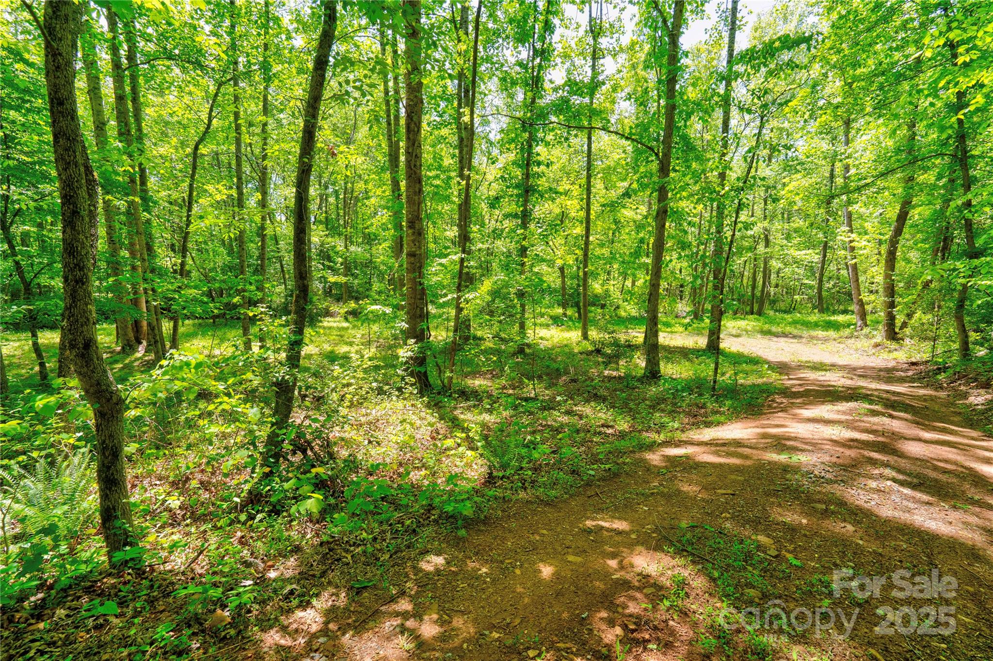 0 Taylor Road Property Photo 11