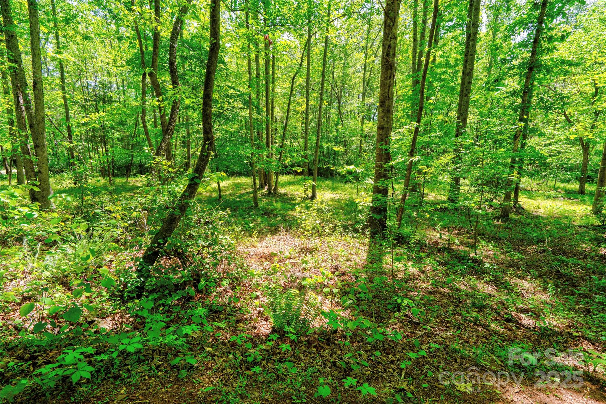 0 Taylor Road Property Photo 12