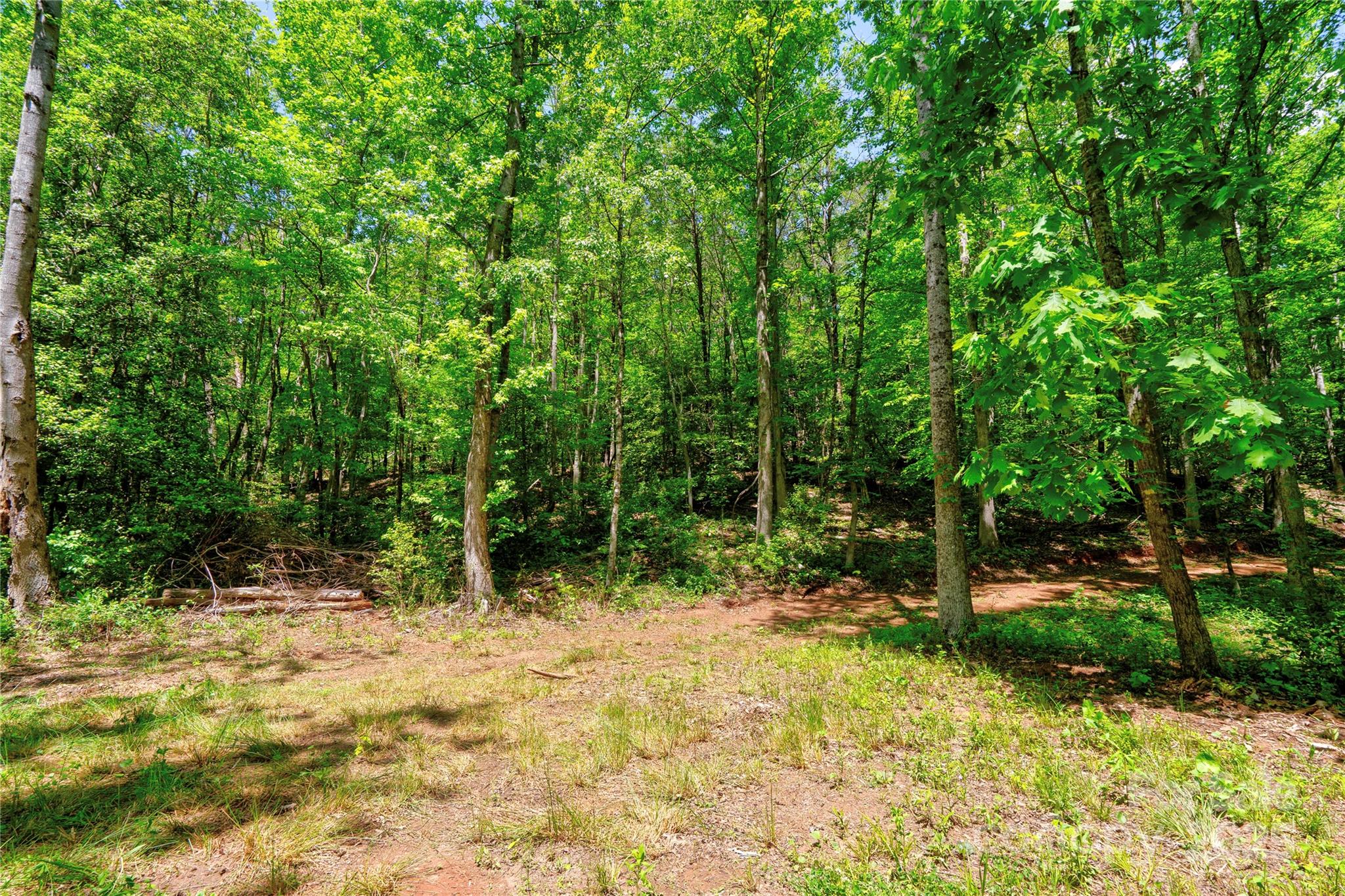 0 Taylor Road Property Photo 13