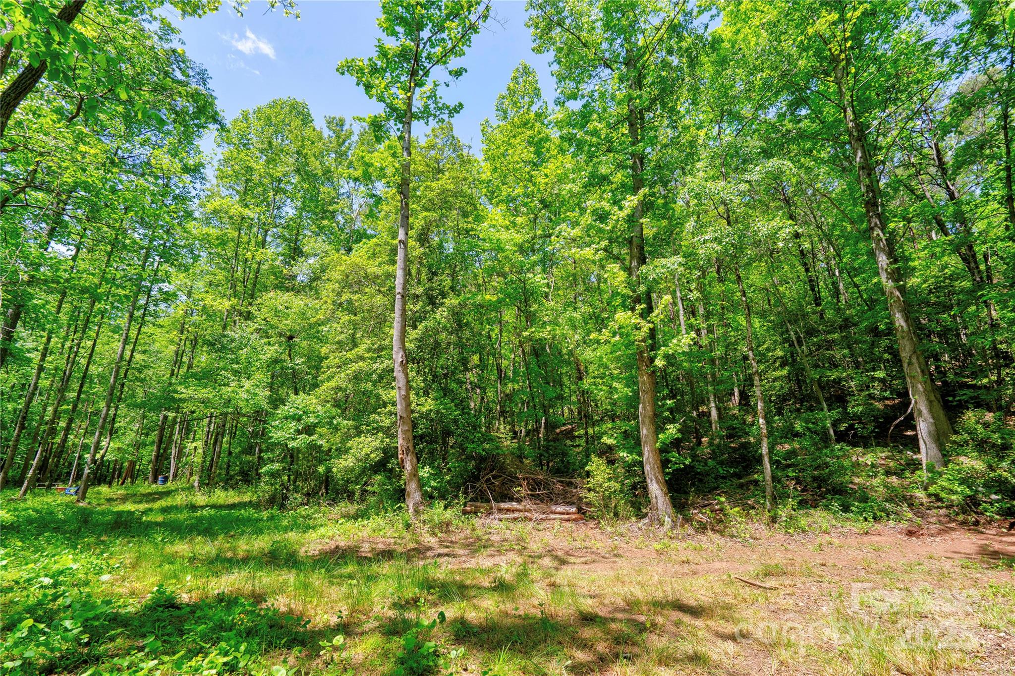 0 Taylor Road Property Photo 15