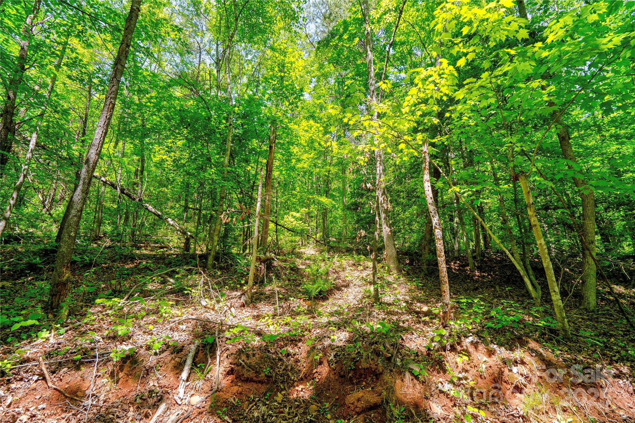 0 Taylor Road Property Photo 16