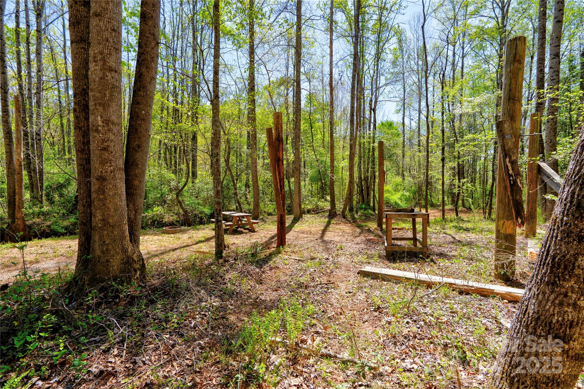 0 Taylor Road Property Photo 18