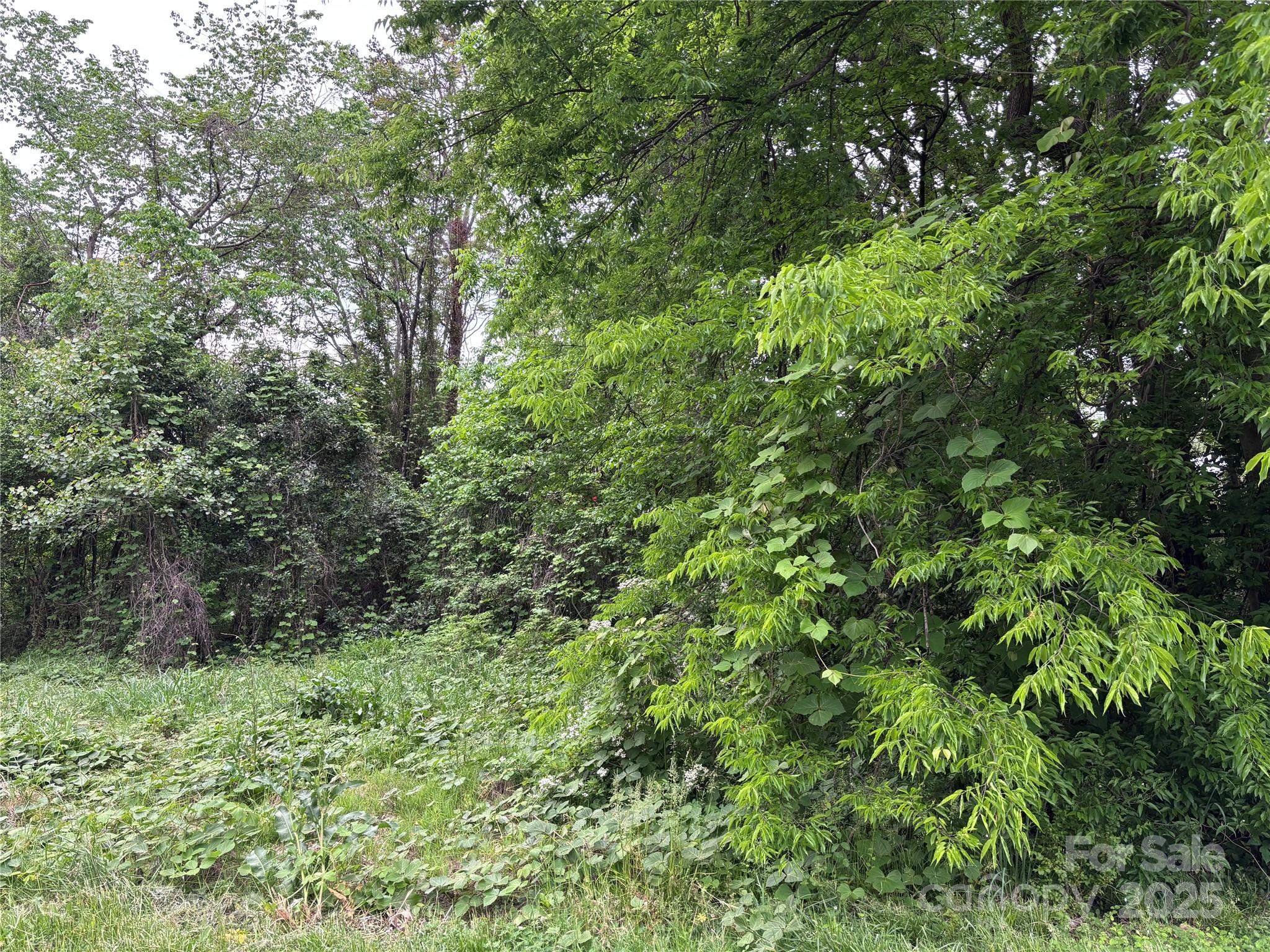 208 James Street Property Photo