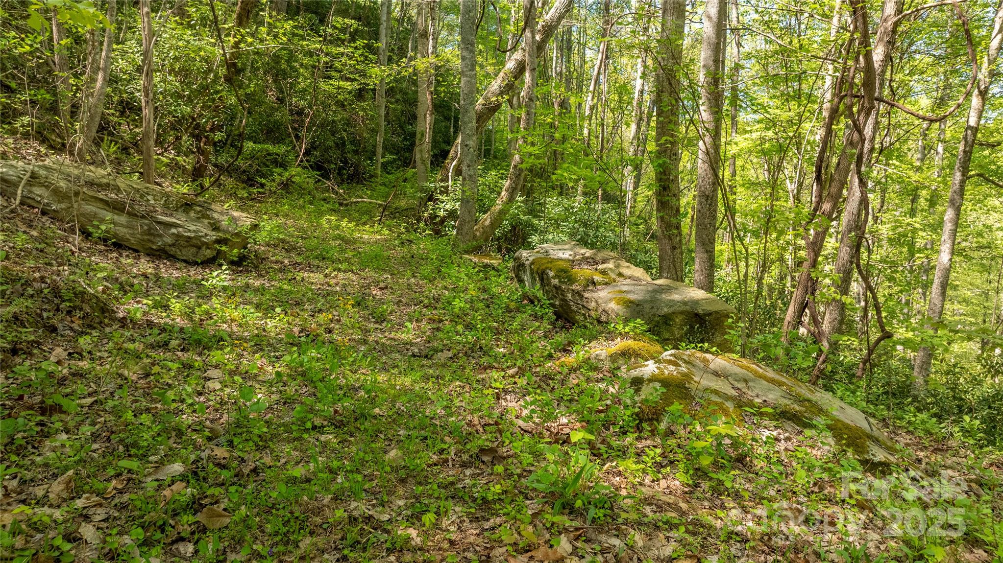 0000 Whispering Woods Path 95-a Property Photo 14