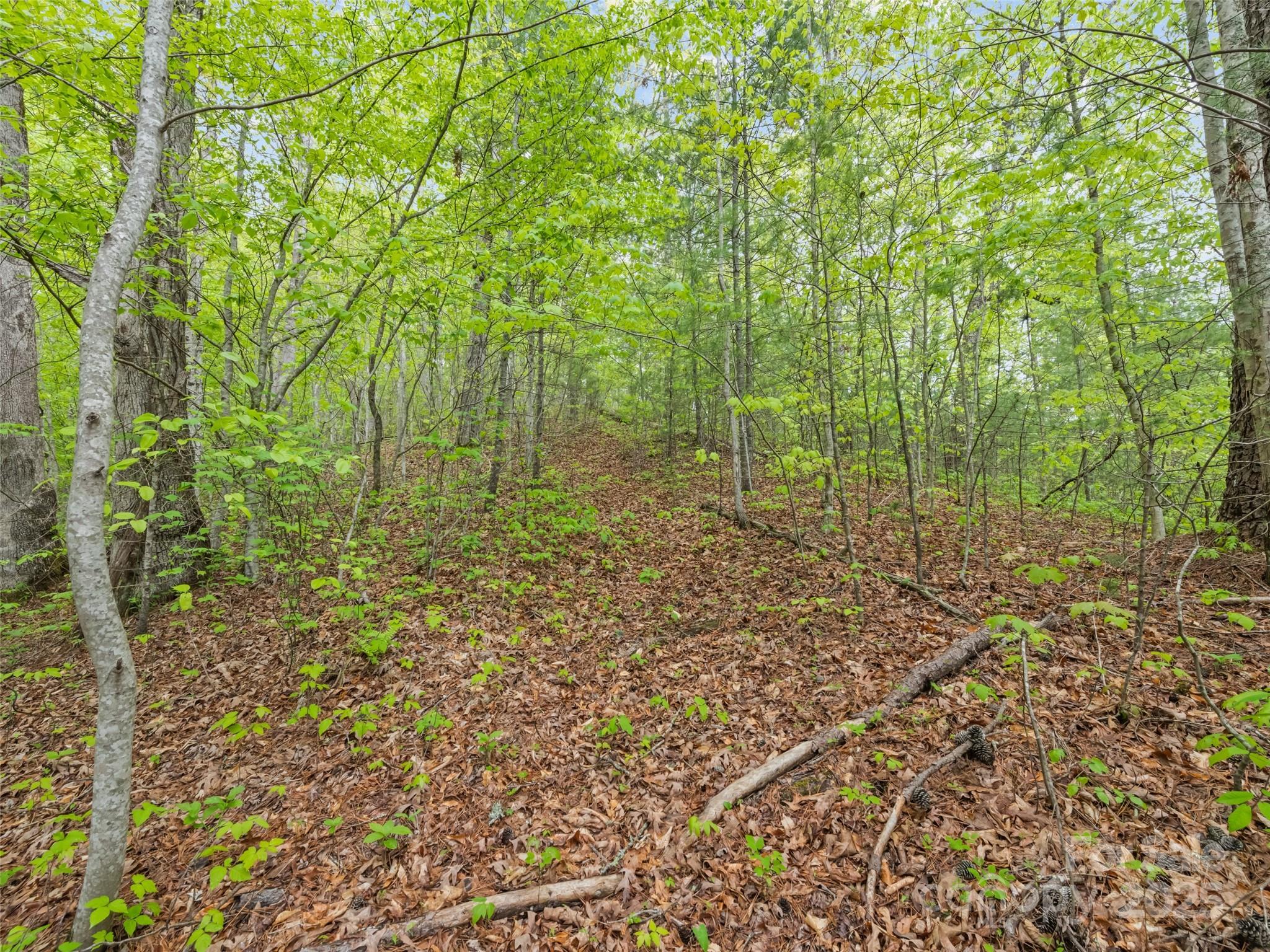 00 Falling Leaf Trail Property Photo
