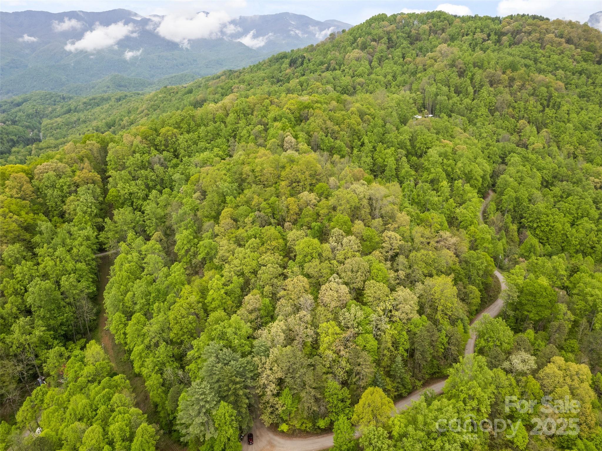 00 Falling Leaf Trail Property Photo 3