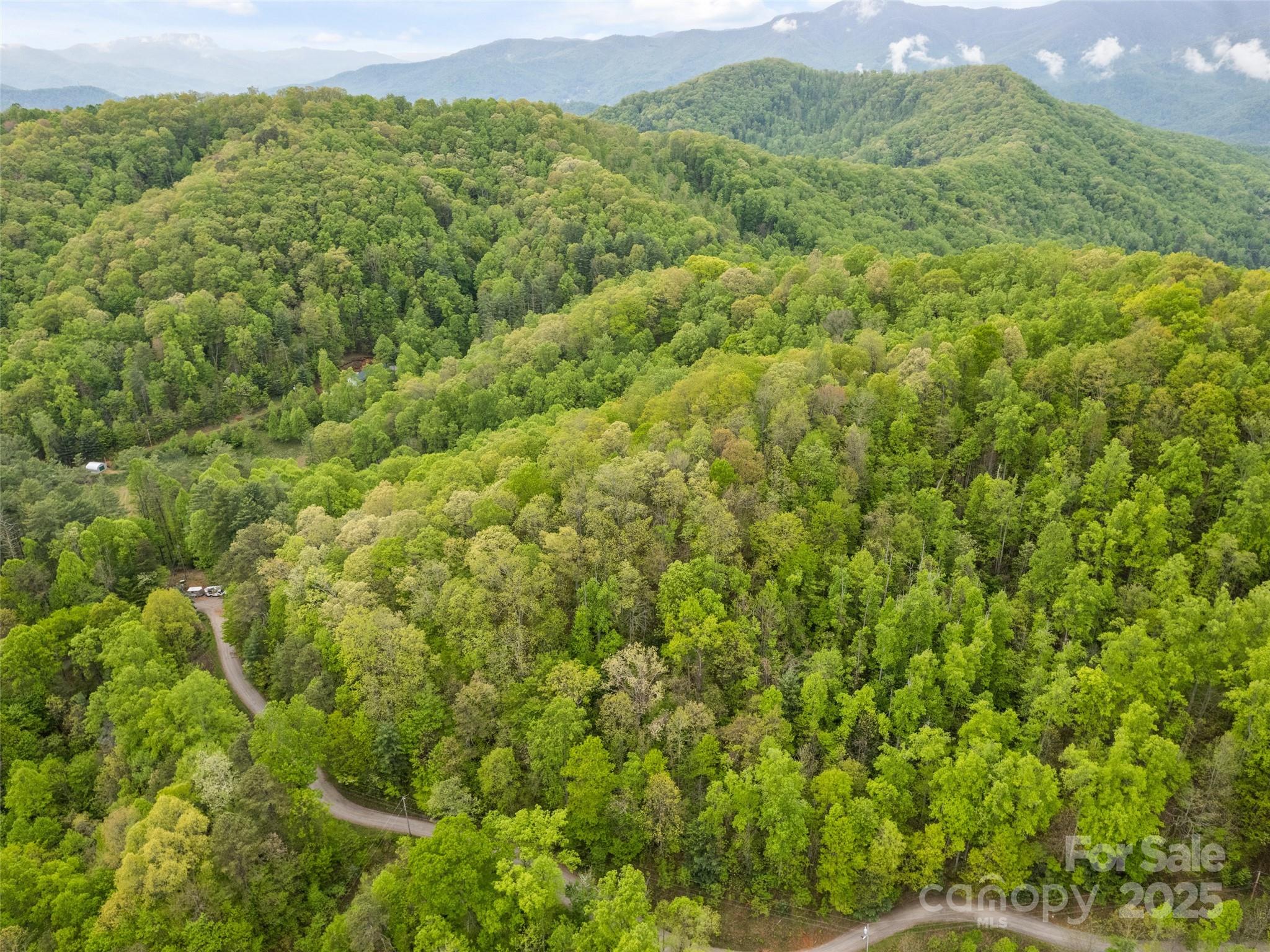 00 Falling Leaf Trail Property Photo 6
