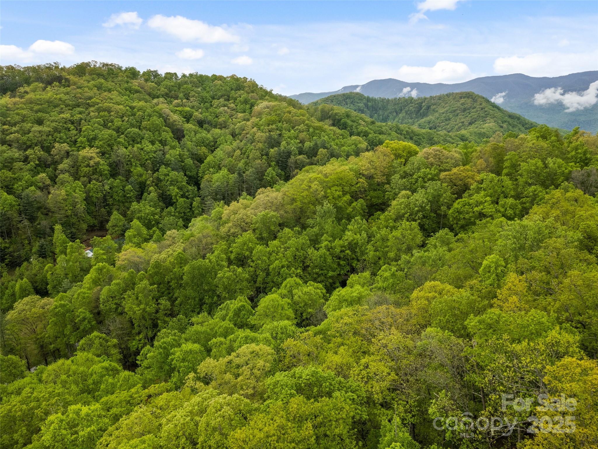 00 Falling Leaf Trail Property Photo 7