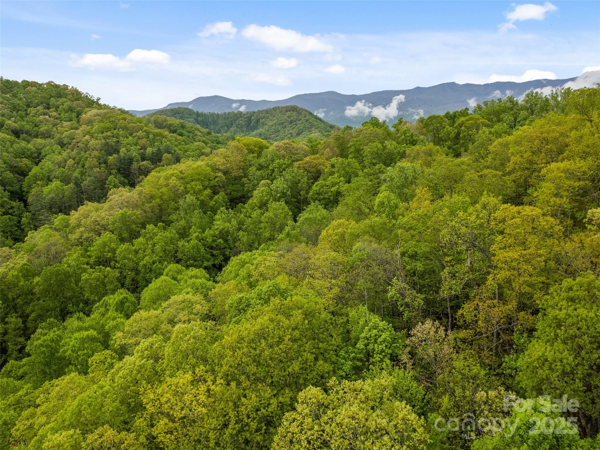 00 Falling Leaf Trail Property Photo 9