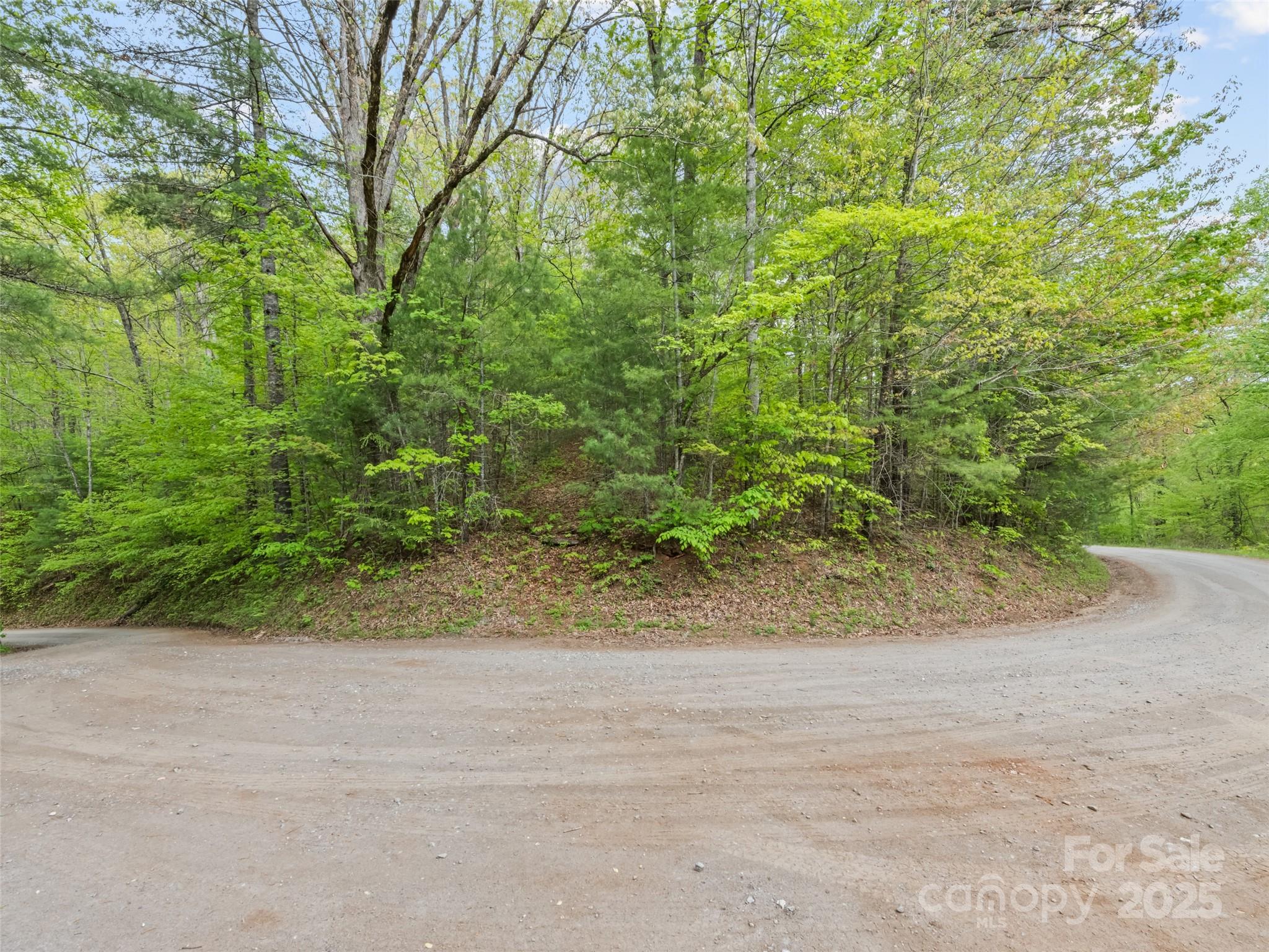 00 Falling Leaf Trail Property Photo 10