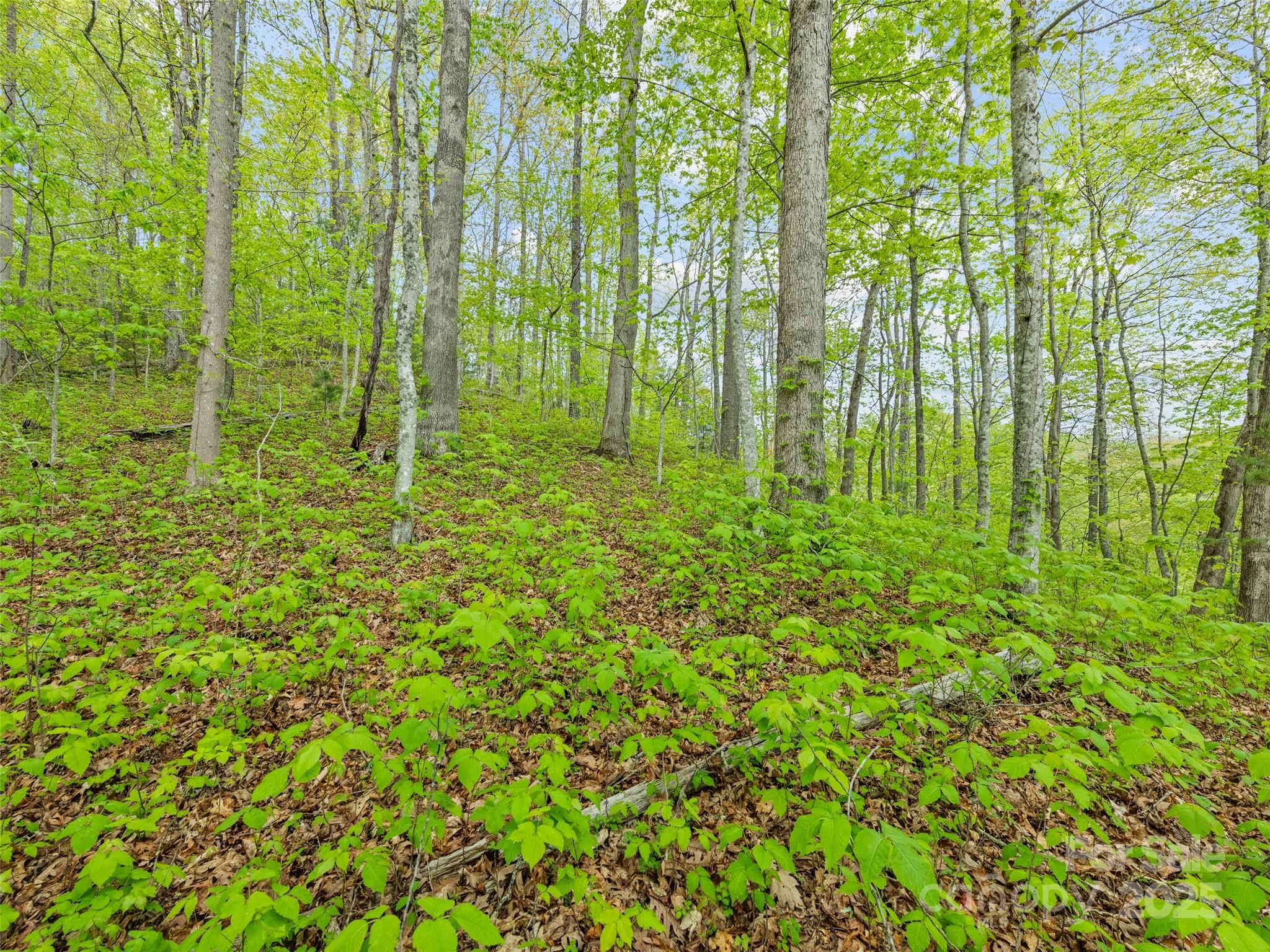 00 Falling Leaf Trail Property Photo 11