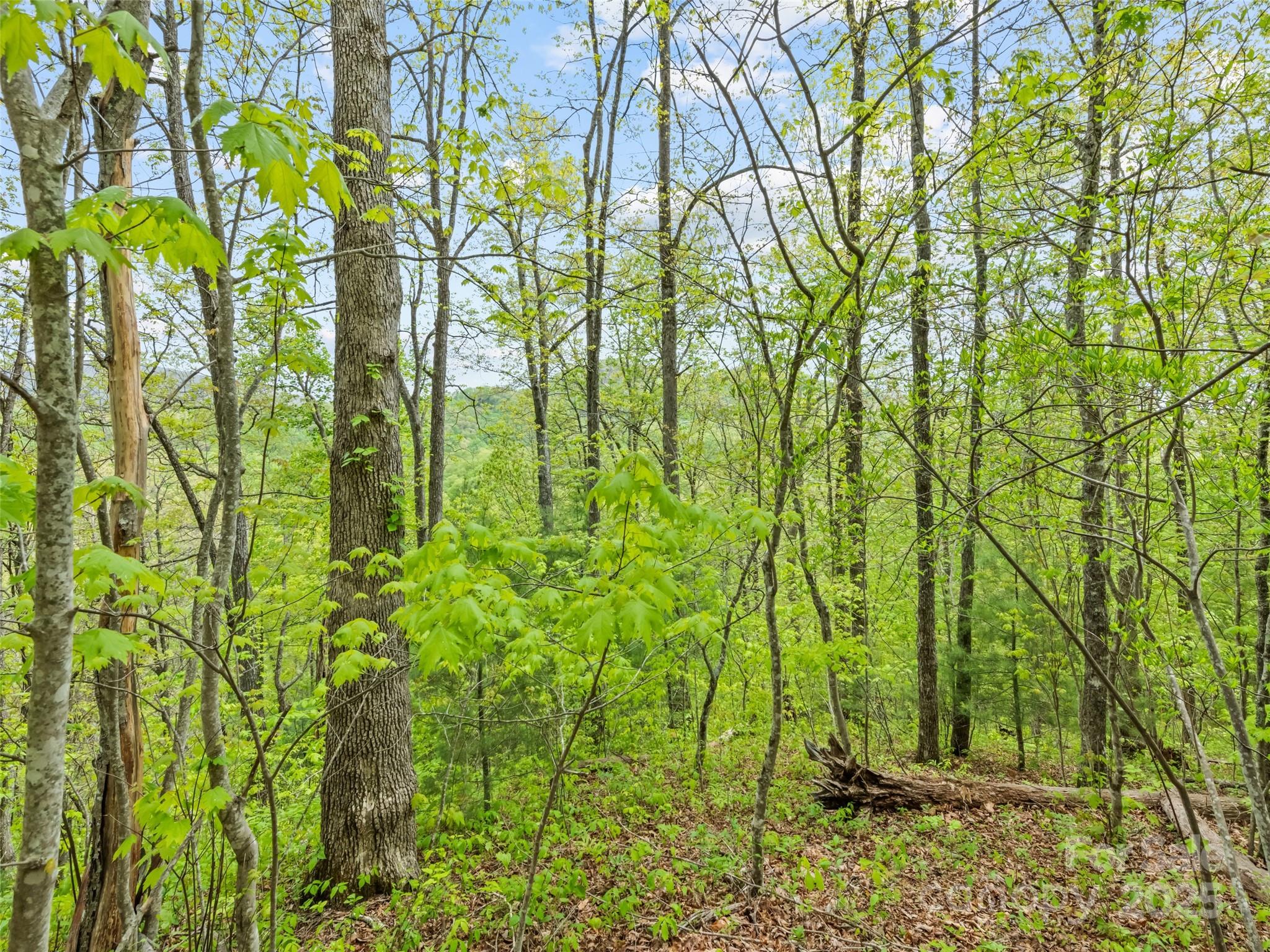 00 Falling Leaf Trail Property Photo 13