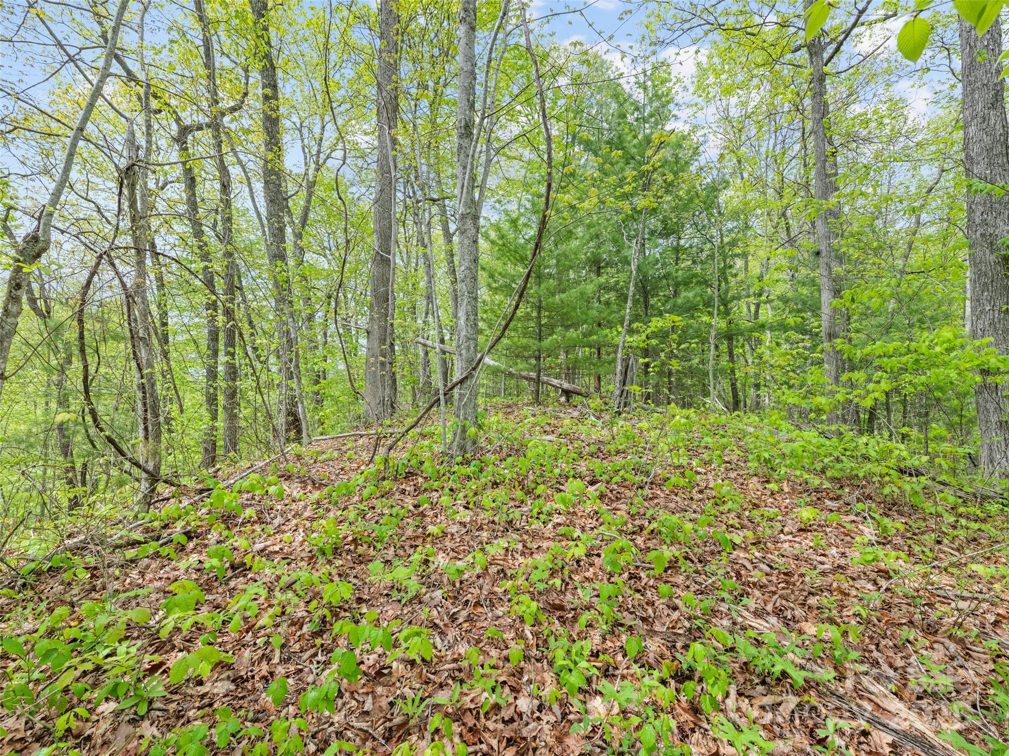 00 Falling Leaf Trail Property Photo 14