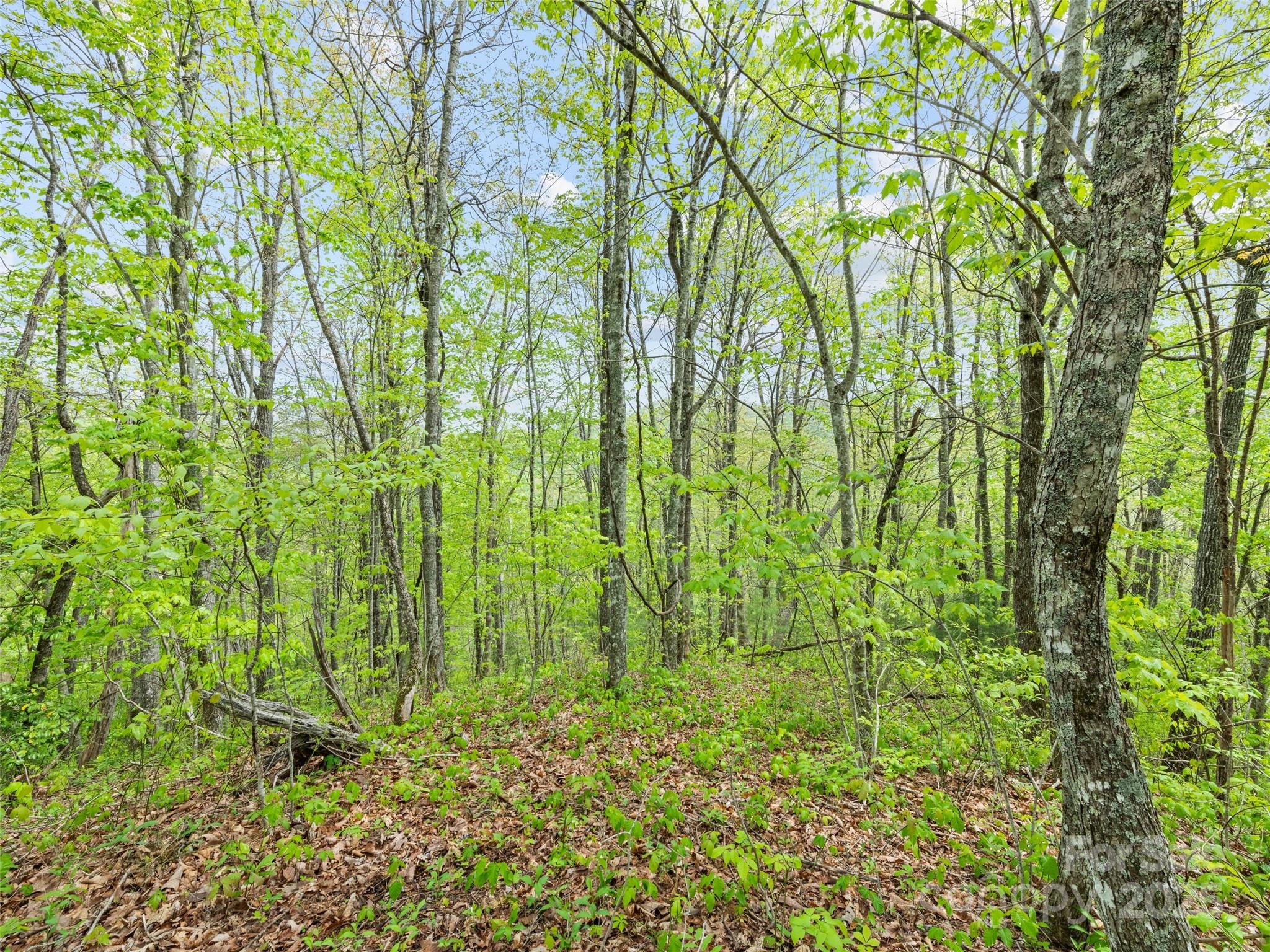 00 Falling Leaf Trail Property Photo 15