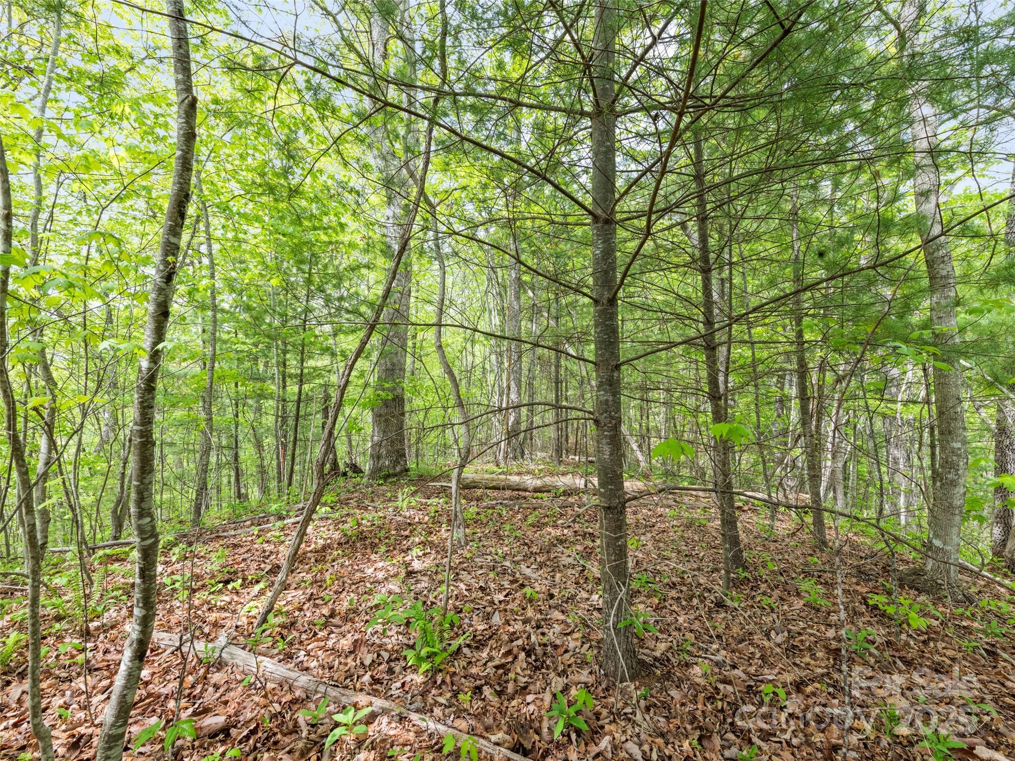 00 Falling Leaf Trail Property Photo 16