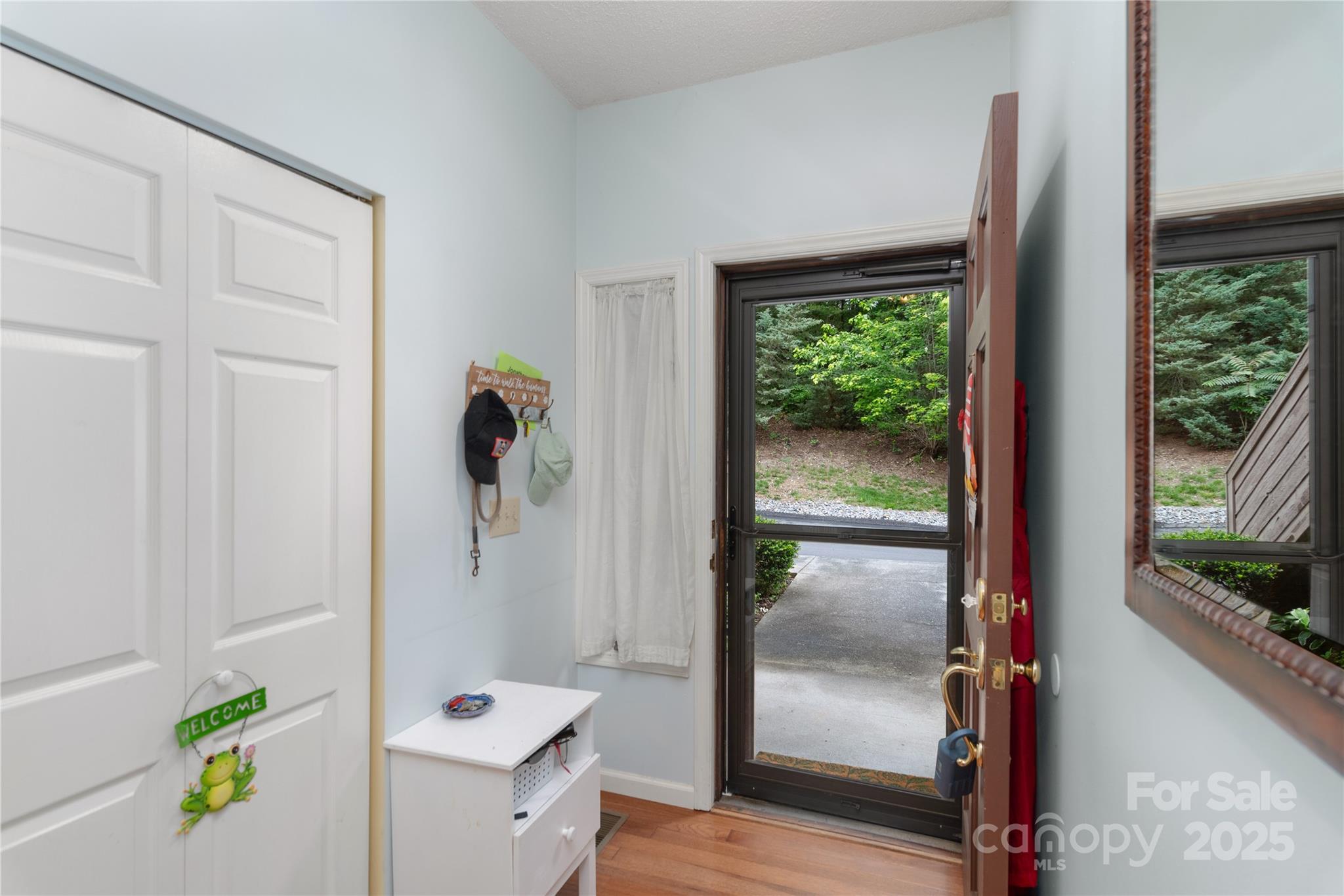 305 Piney Mountain Drive R1 Property Photo 4