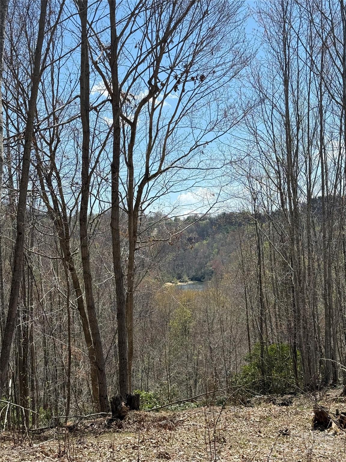 0 Beaver Dam Road Property Photo