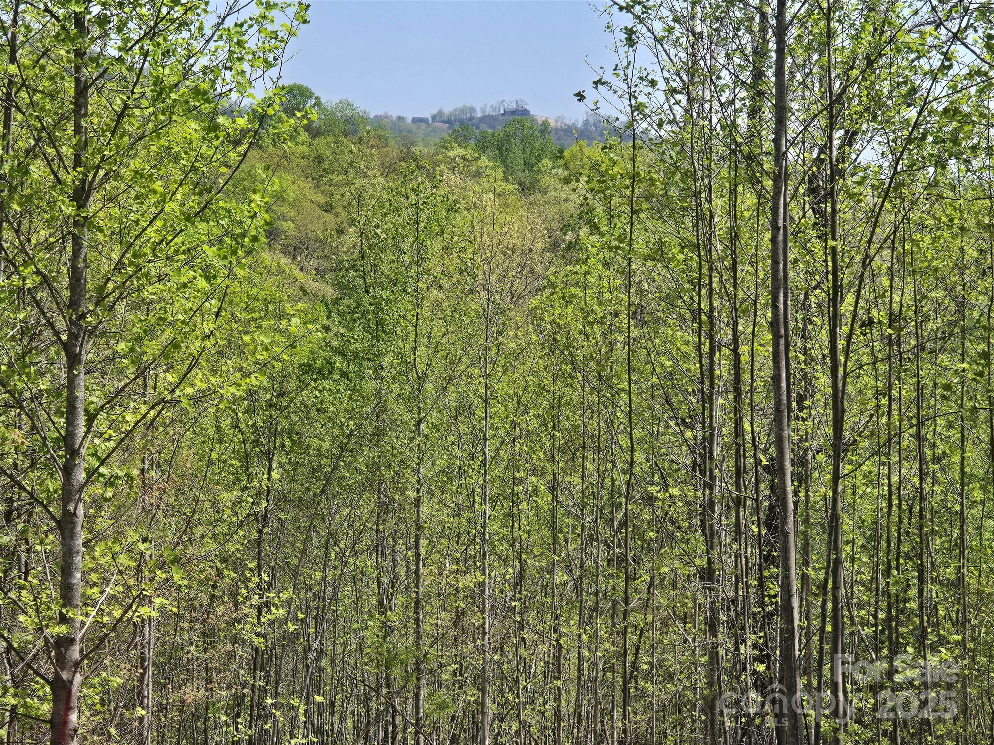 Lot 17 Touch Me Not Trail Property Photo